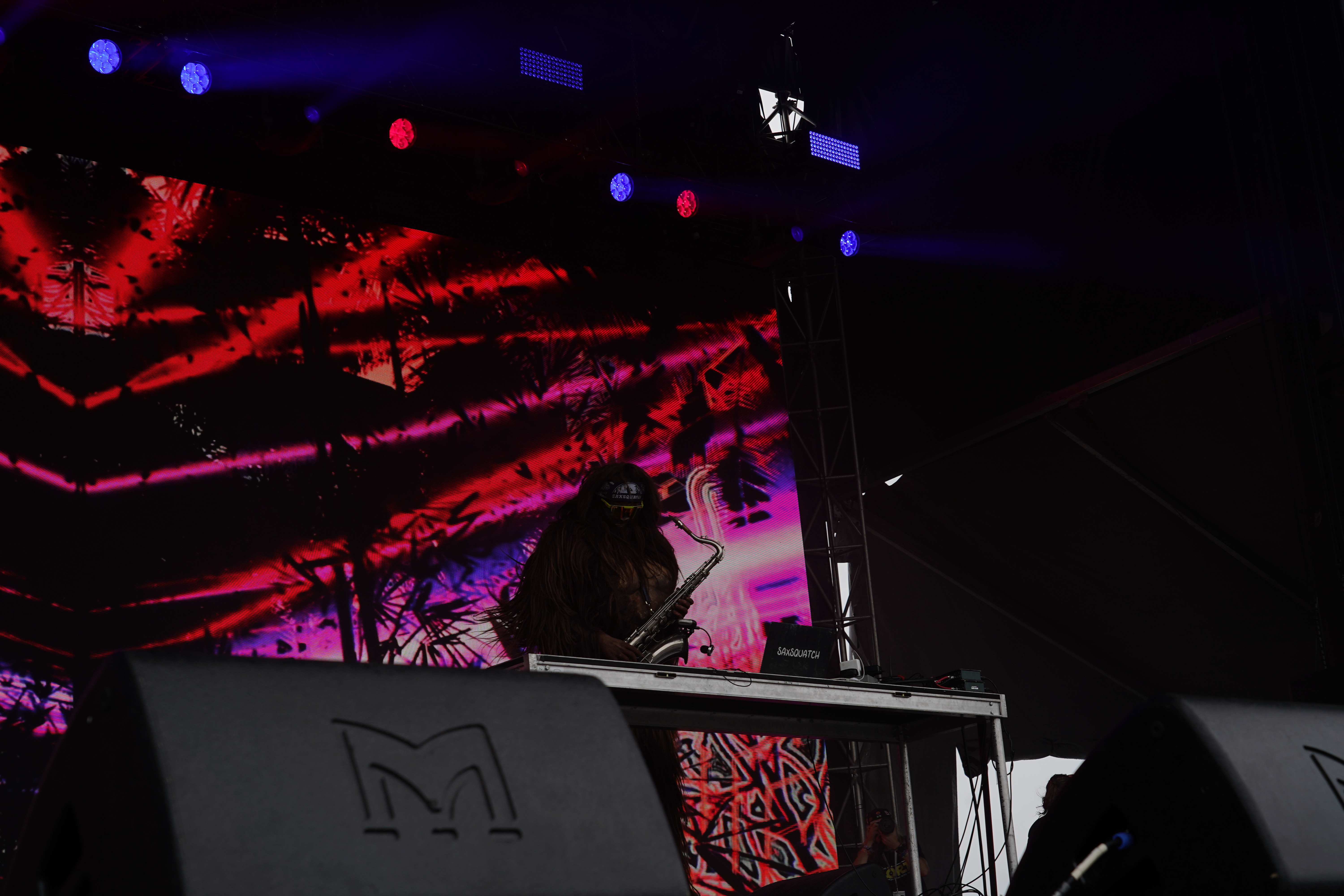 Saxsquatch — Riot Fest 2024