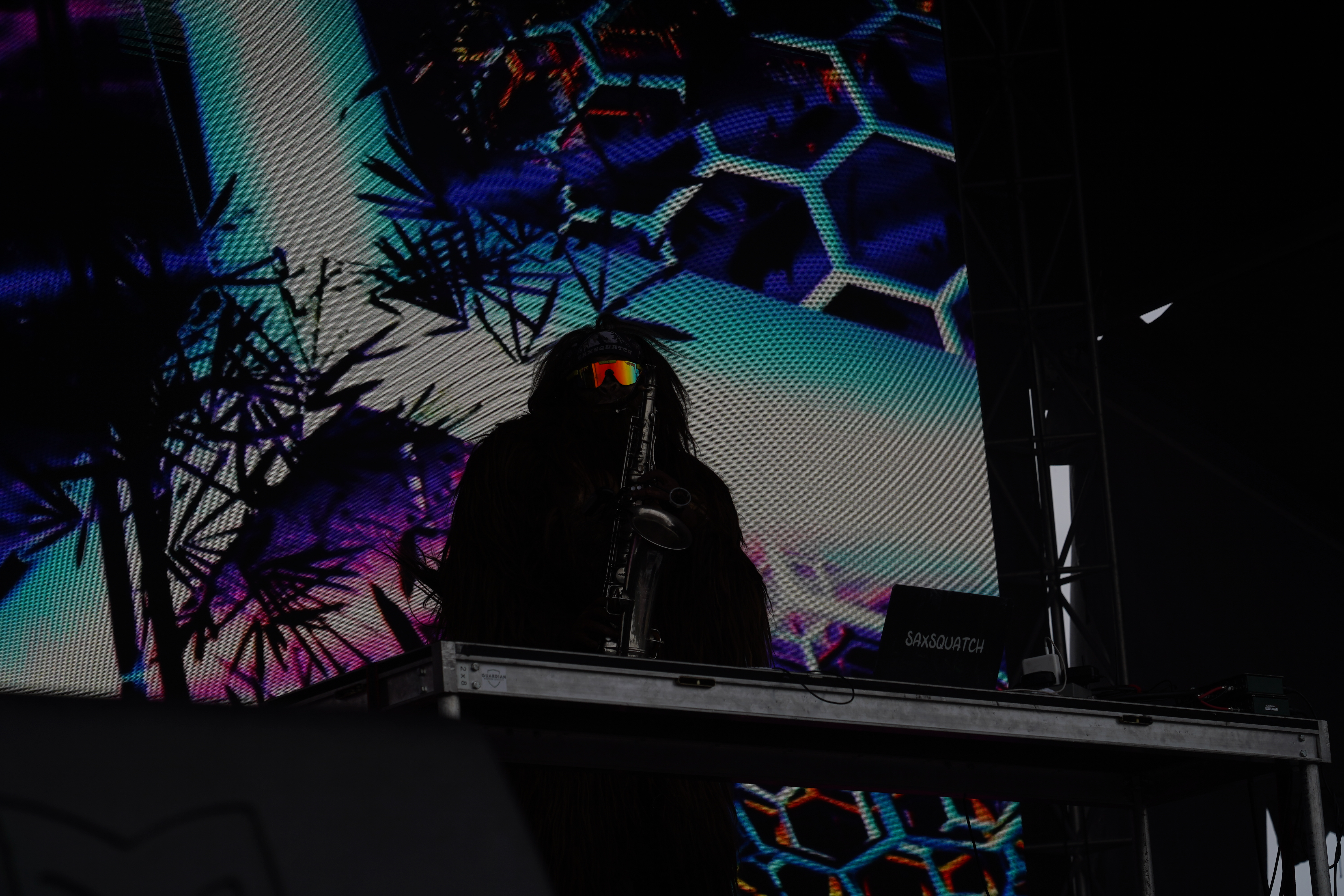 Saxsquatch — Riot Fest 2024
