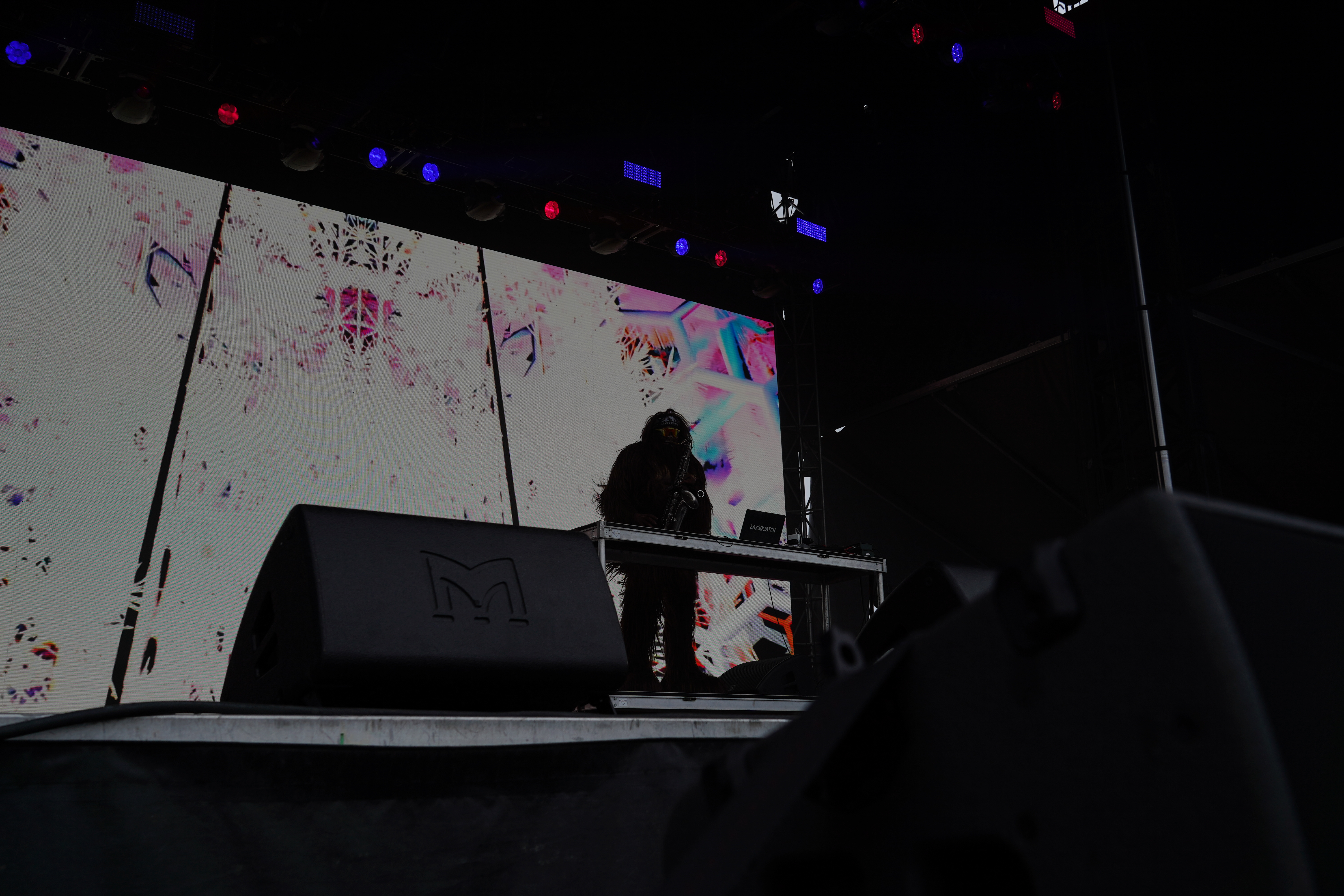 Saxsquatch — Riot Fest 2024