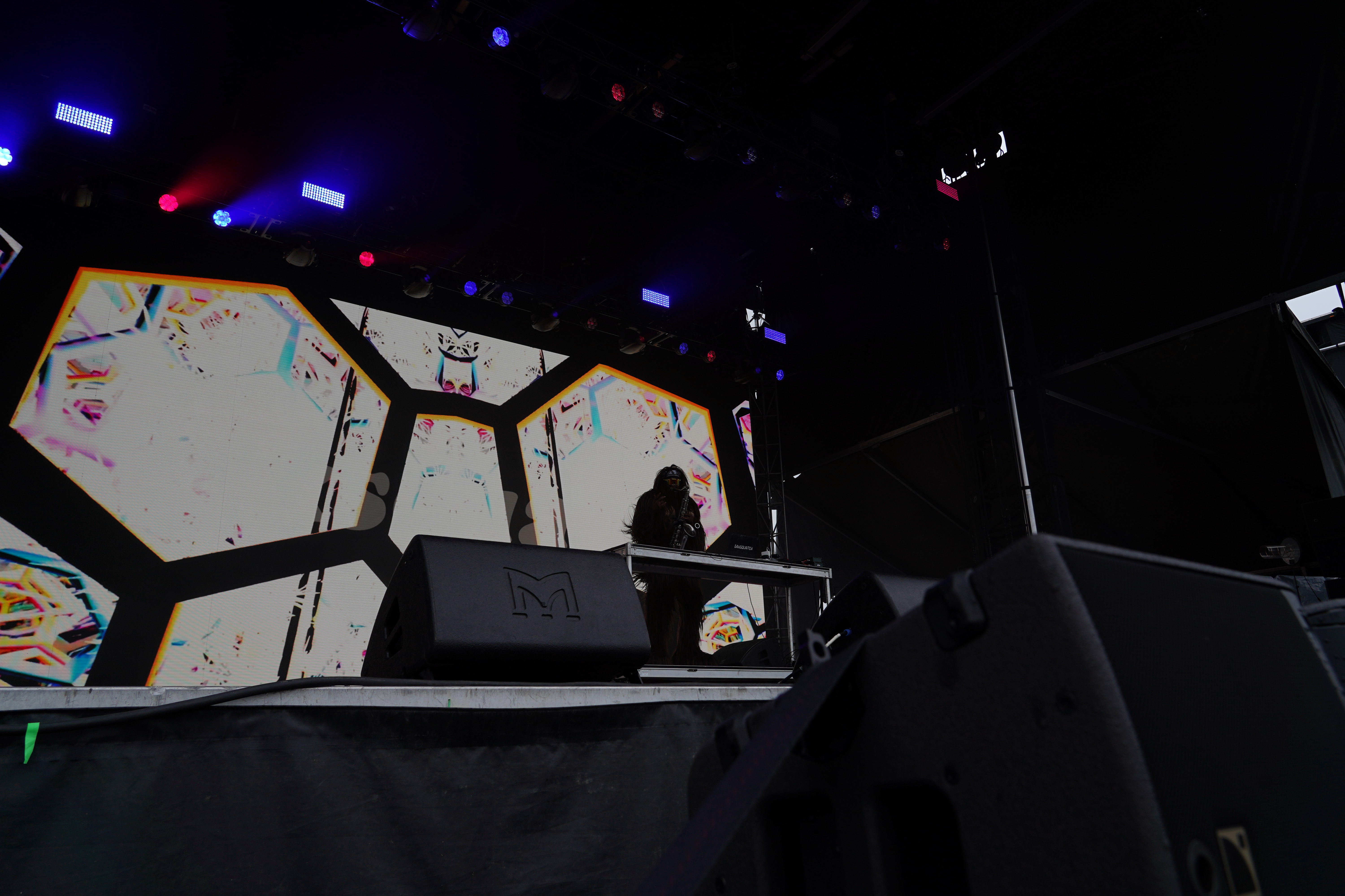 Saxsquatch — Riot Fest 2024