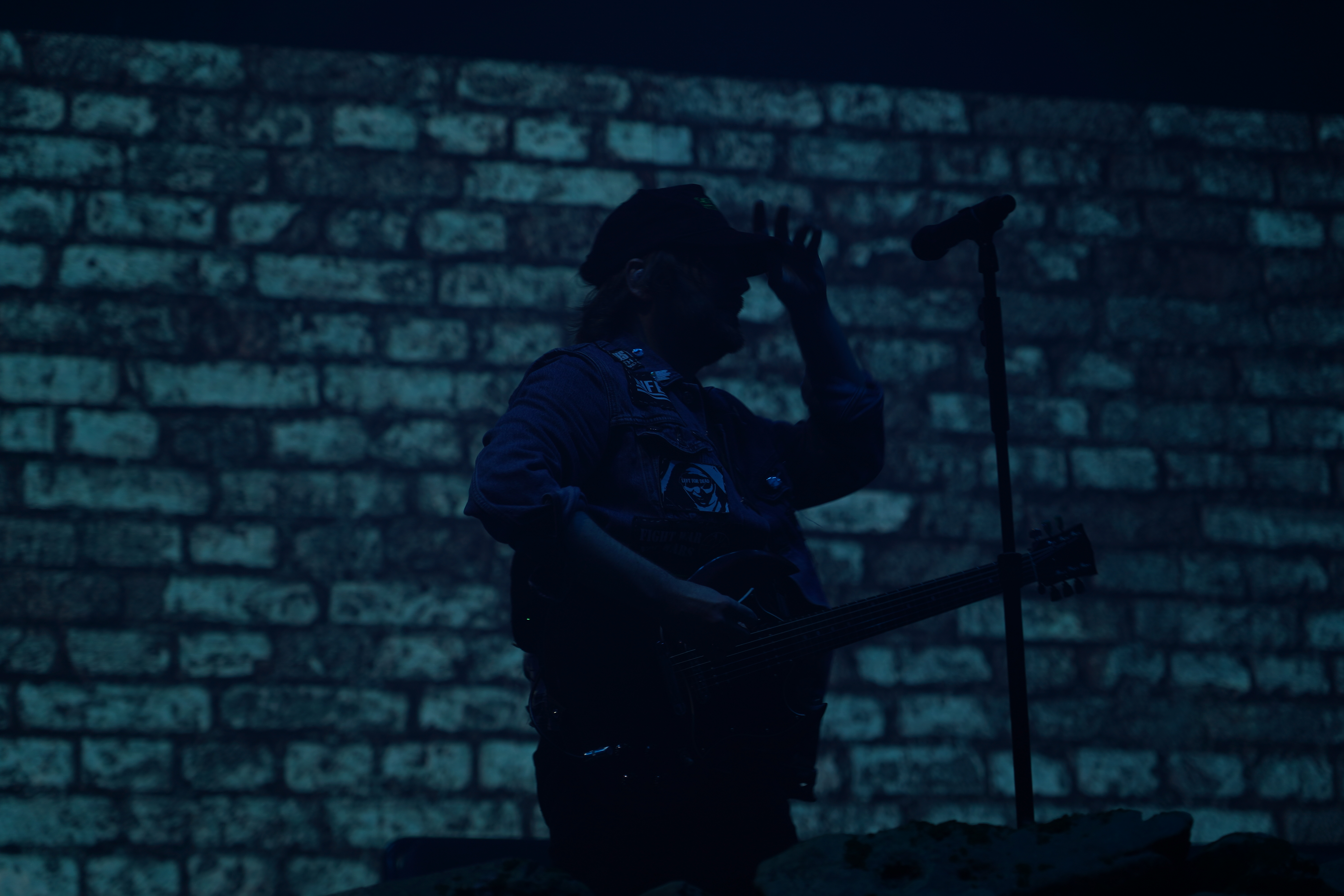 Fall Out Boy — Riot Fest 2024
