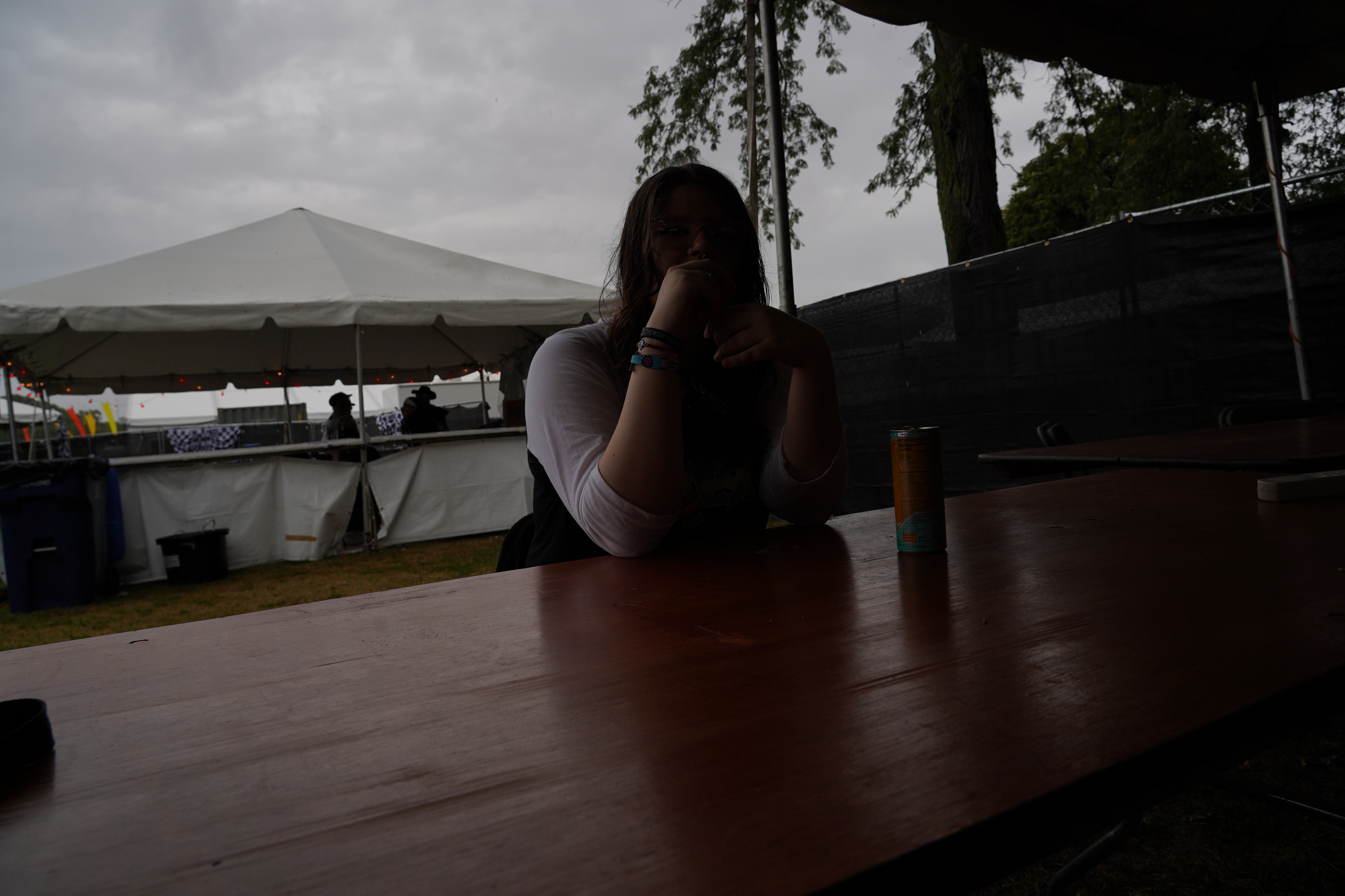 Festival — Riot Fest 2024