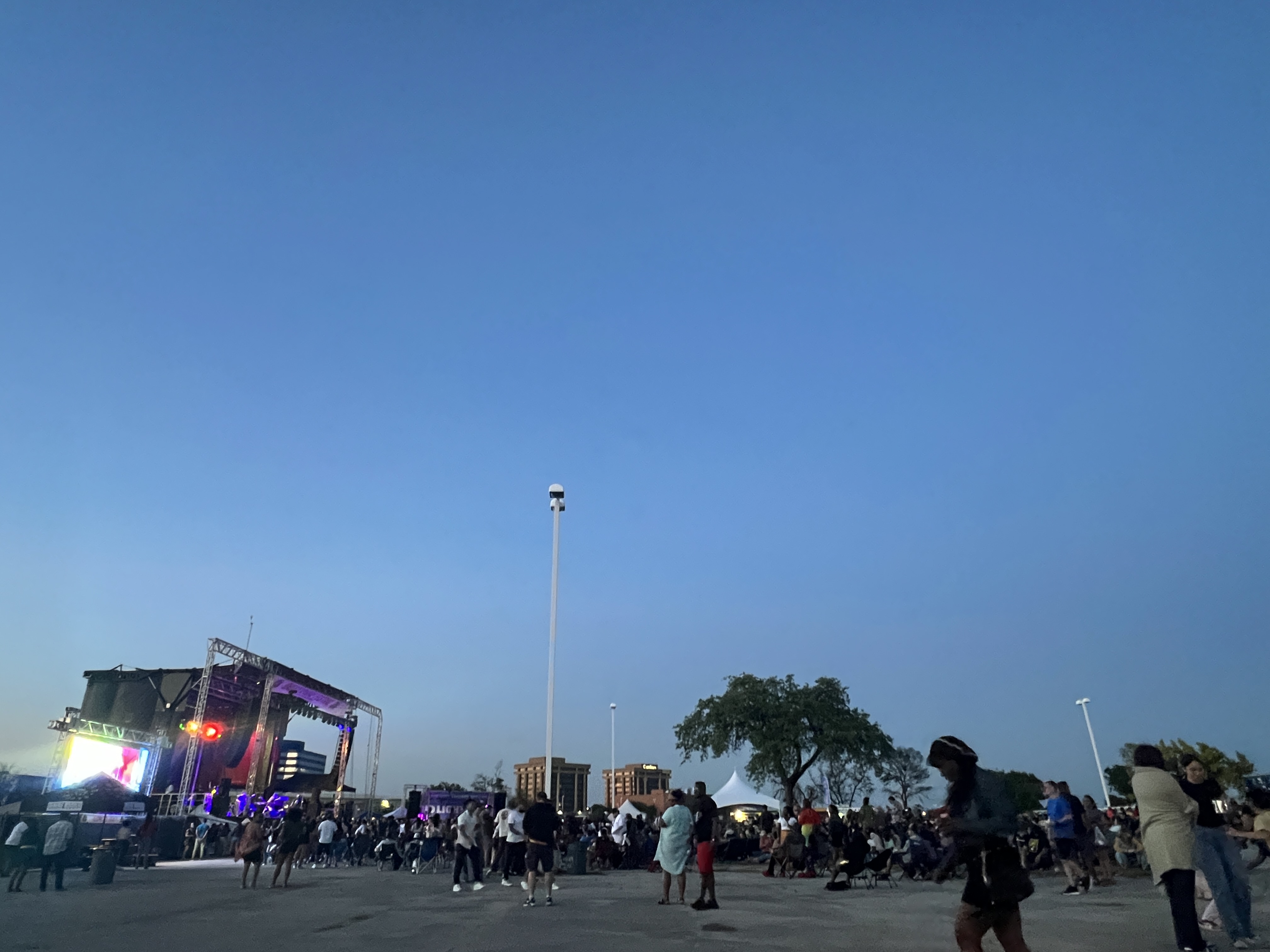 Festival — Dallas Reggae Festival 2024
