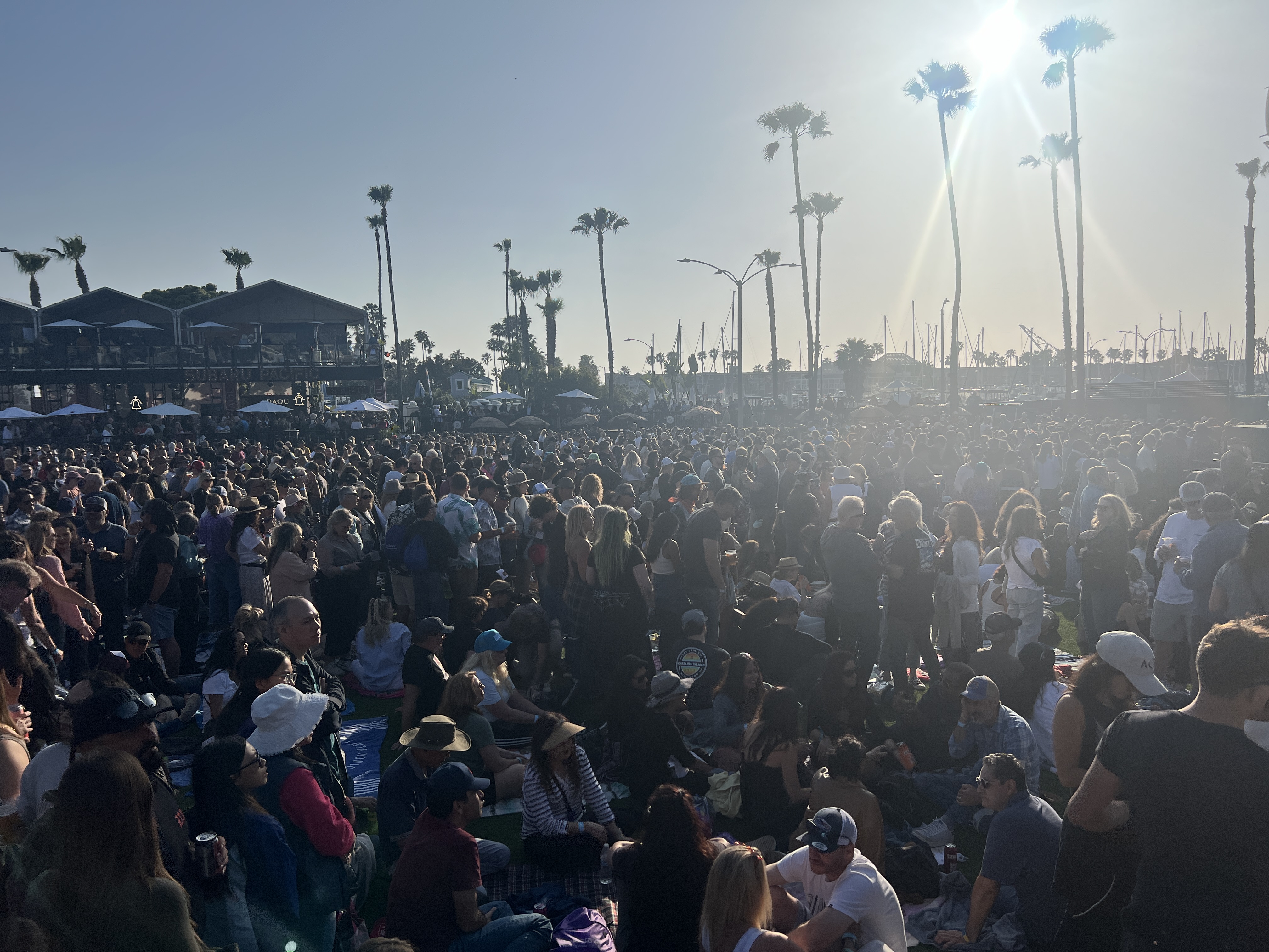 Festival — BeachLife Festival 2024