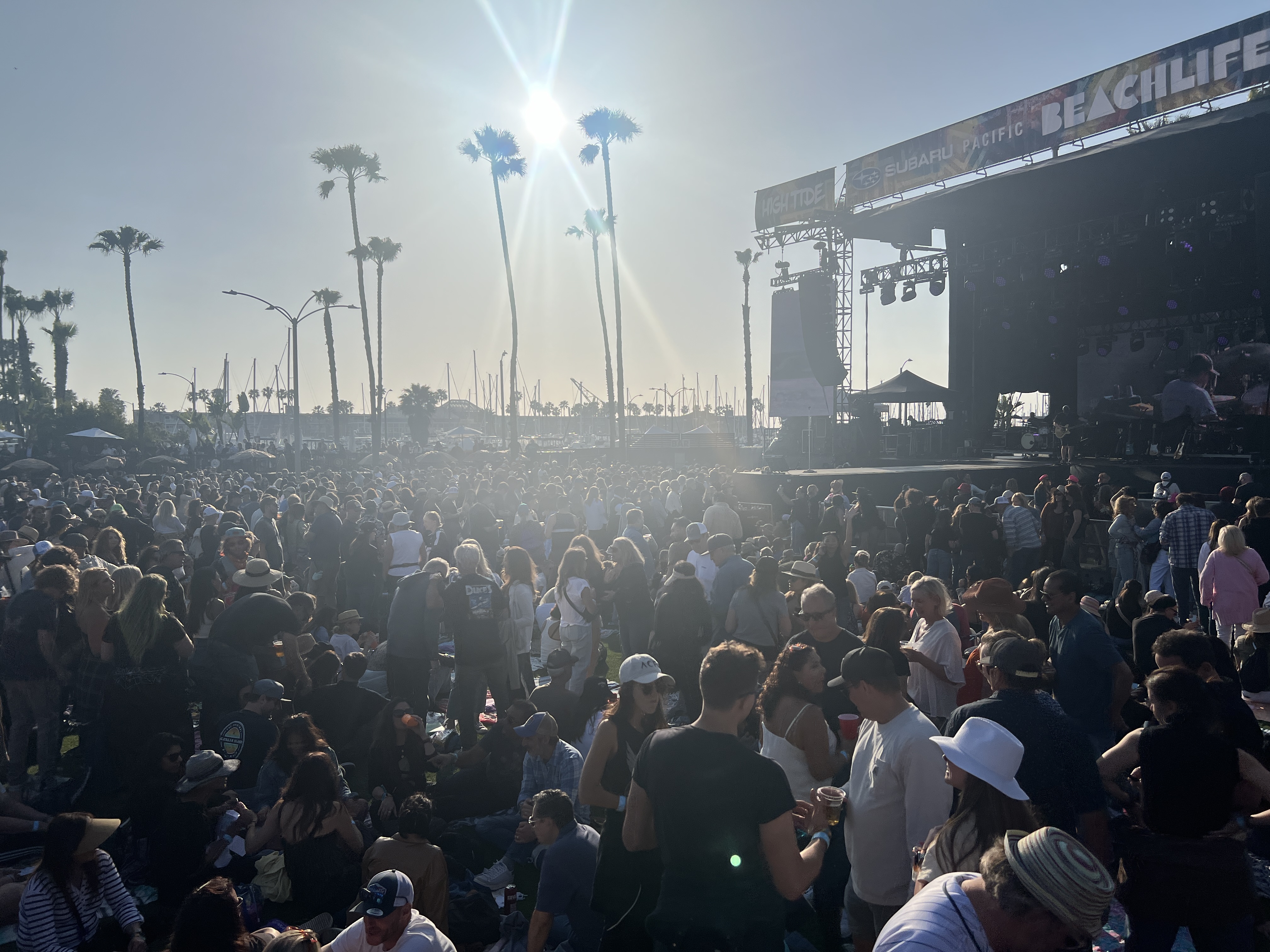 Festival — BeachLife Festival 2024