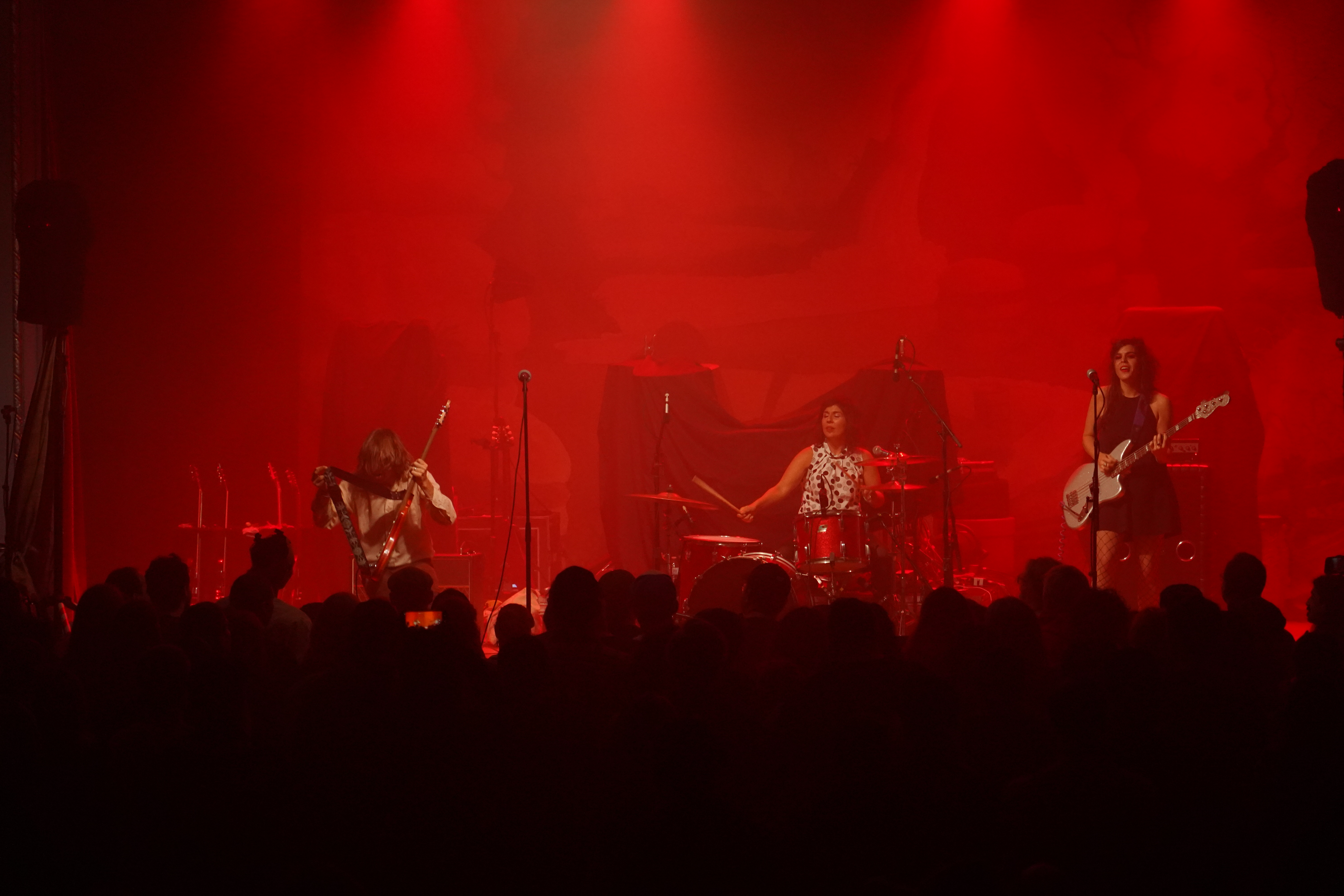 The Schizophonics