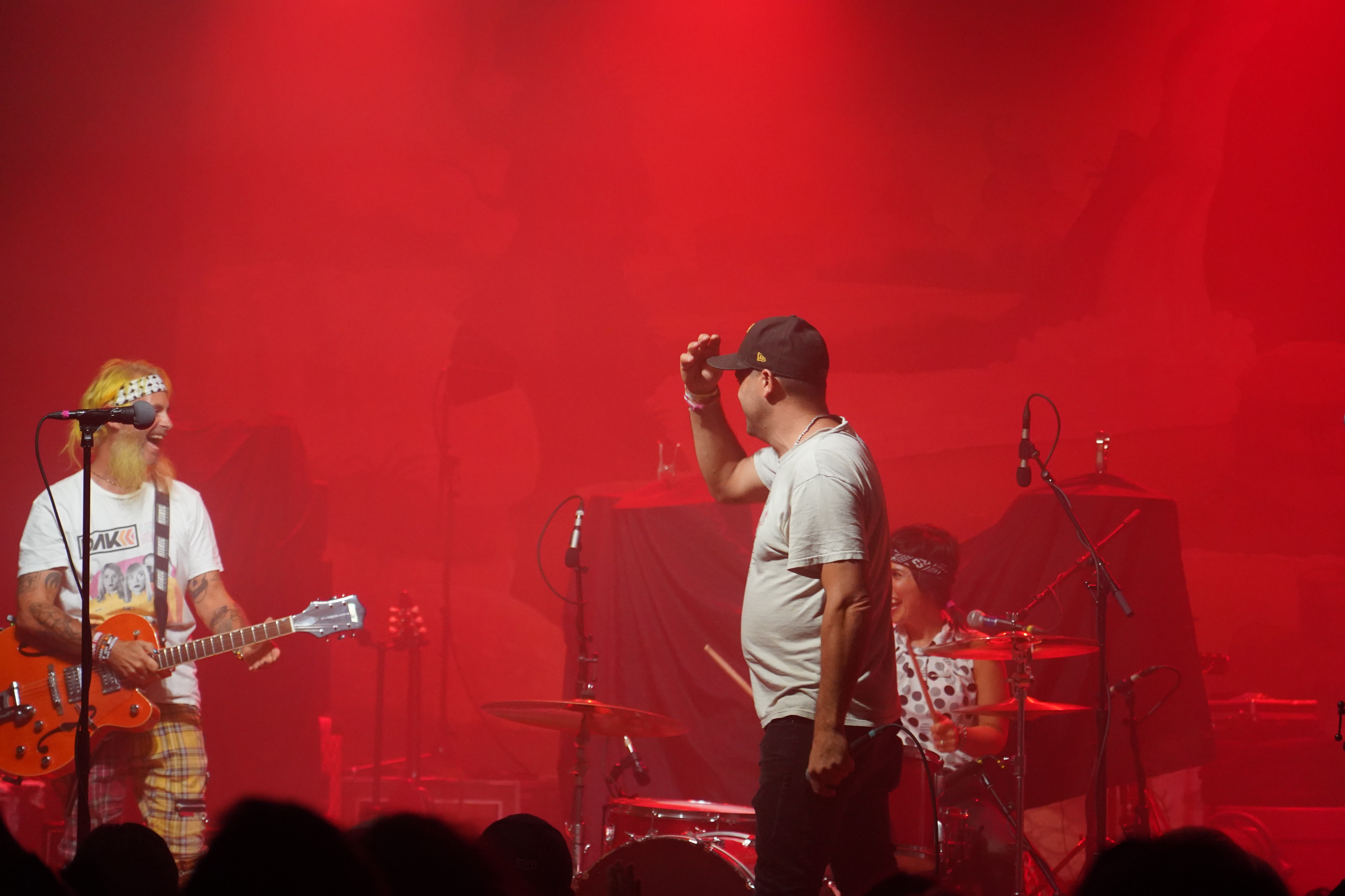 The Schizophonics — The Schizophonics