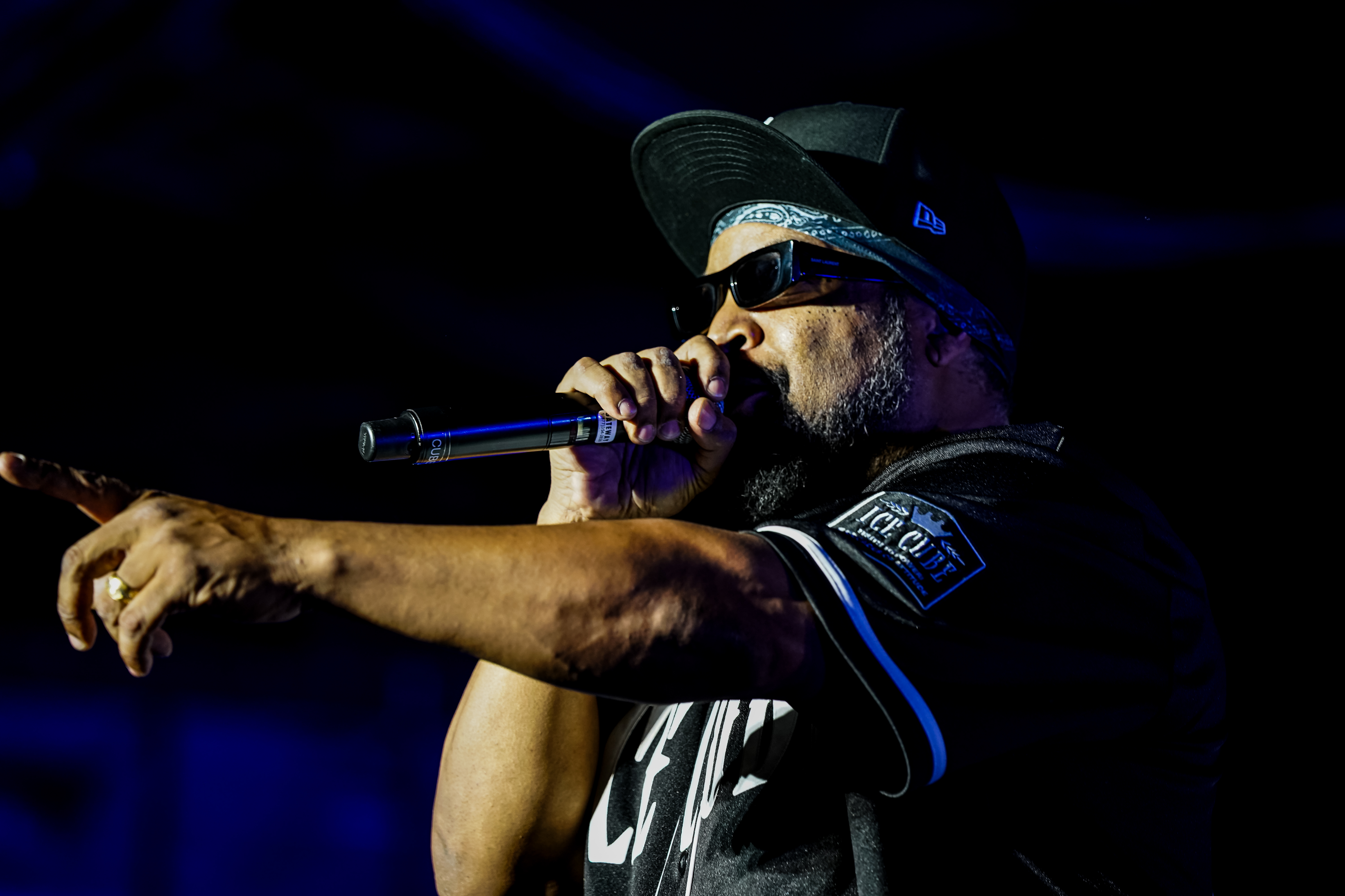 Ice Cube — California Roots Music & Arts Festival 2026 — Cali Roots 2026