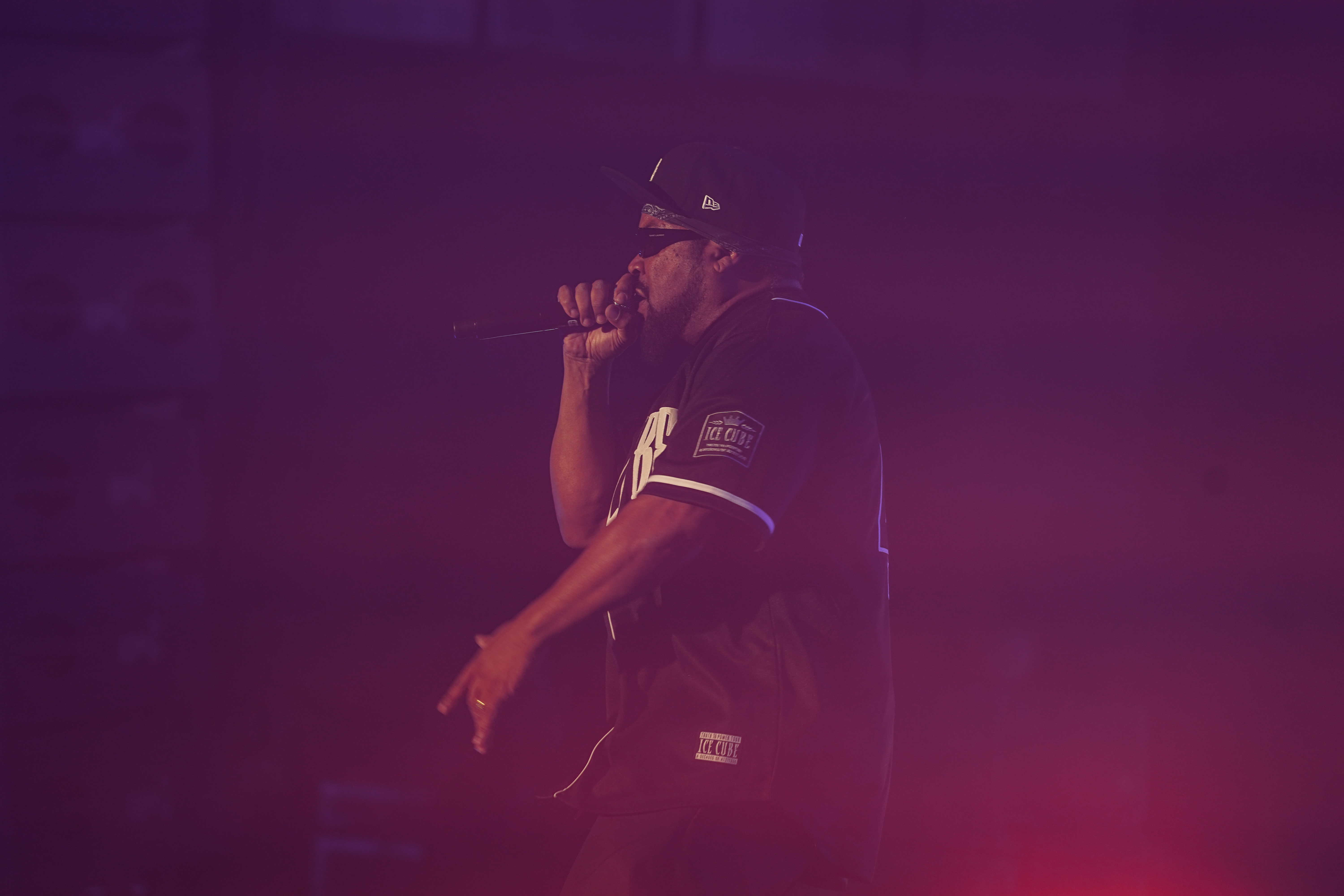Ice Cube — California Roots Music & Arts Festival 2026 — Cali Roots 2026