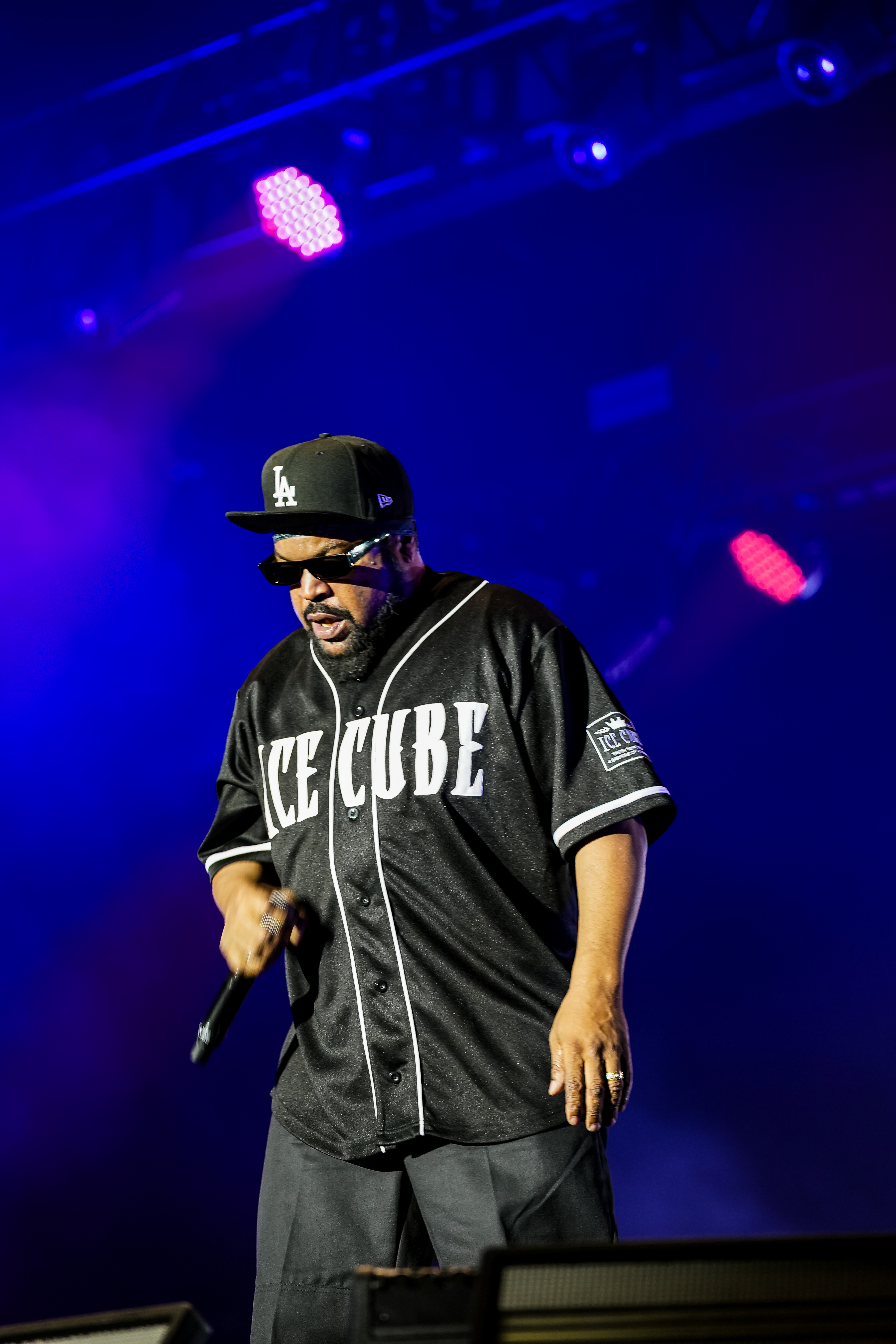 Ice Cube — California Roots Music & Arts Festival 2026 — Cali Roots 2026