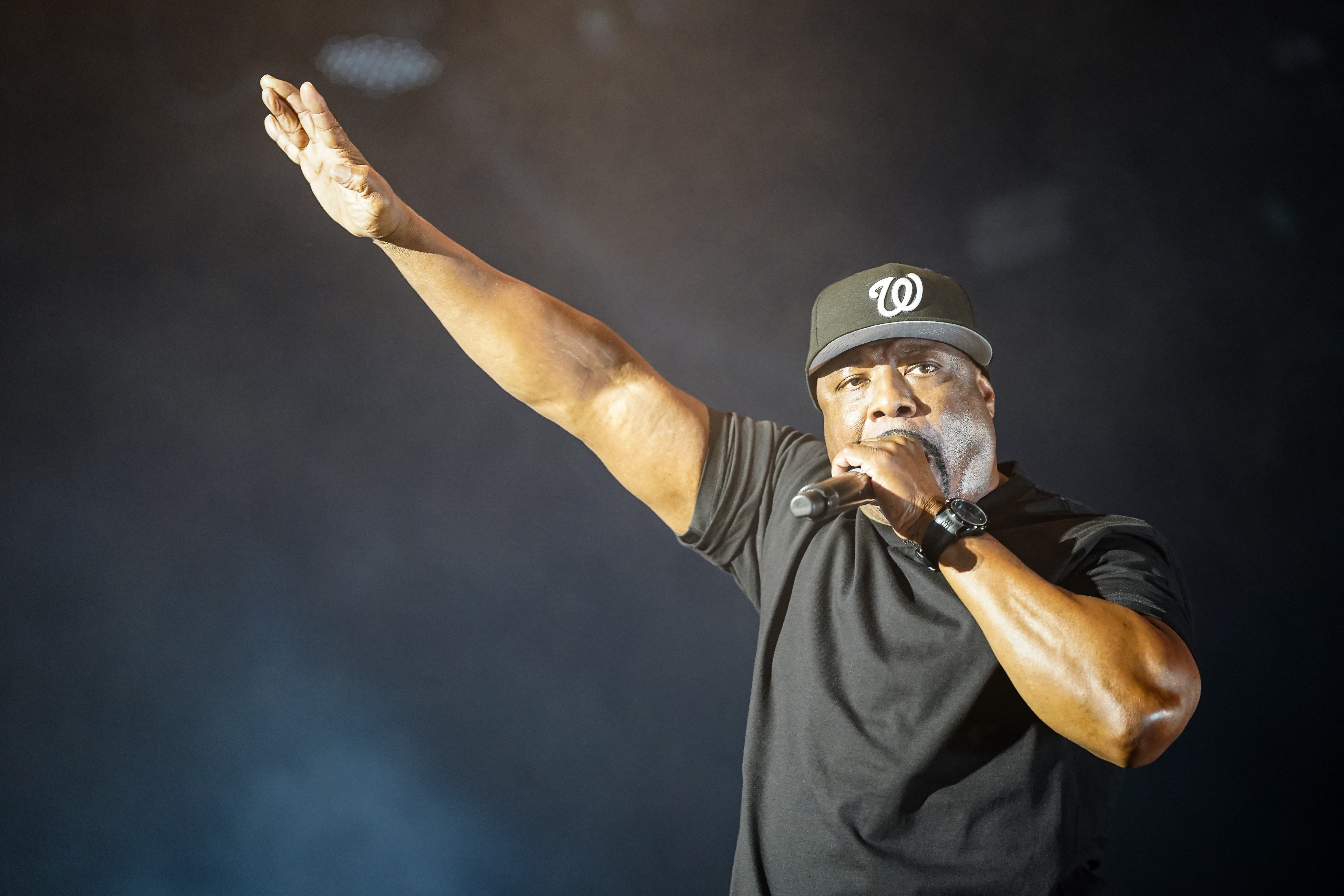 Ice Cube — California Roots Music & Arts Festival 2026 — Cali Roots 2026