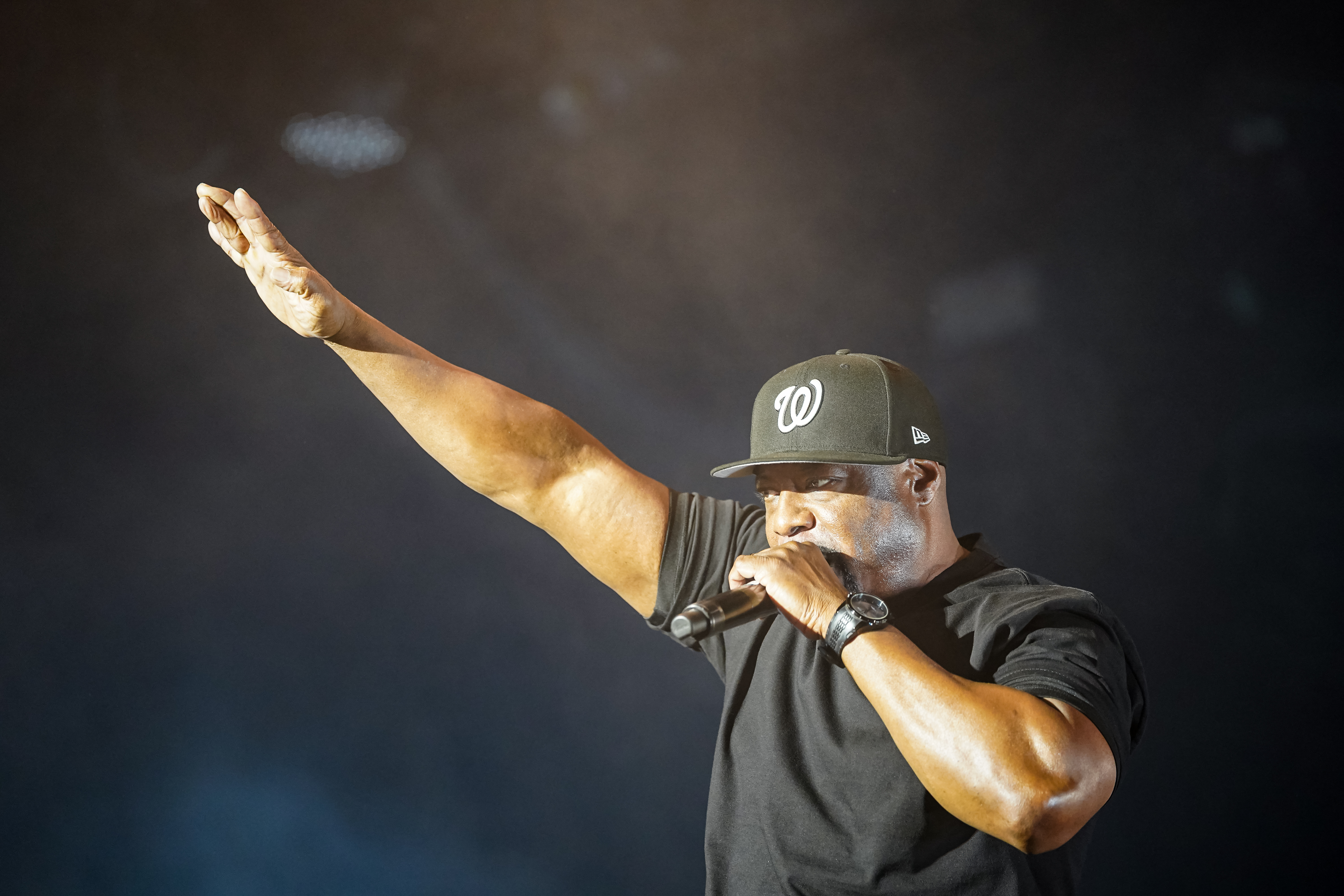 Ice Cube — California Roots Music & Arts Festival 2026 — Cali Roots 2026