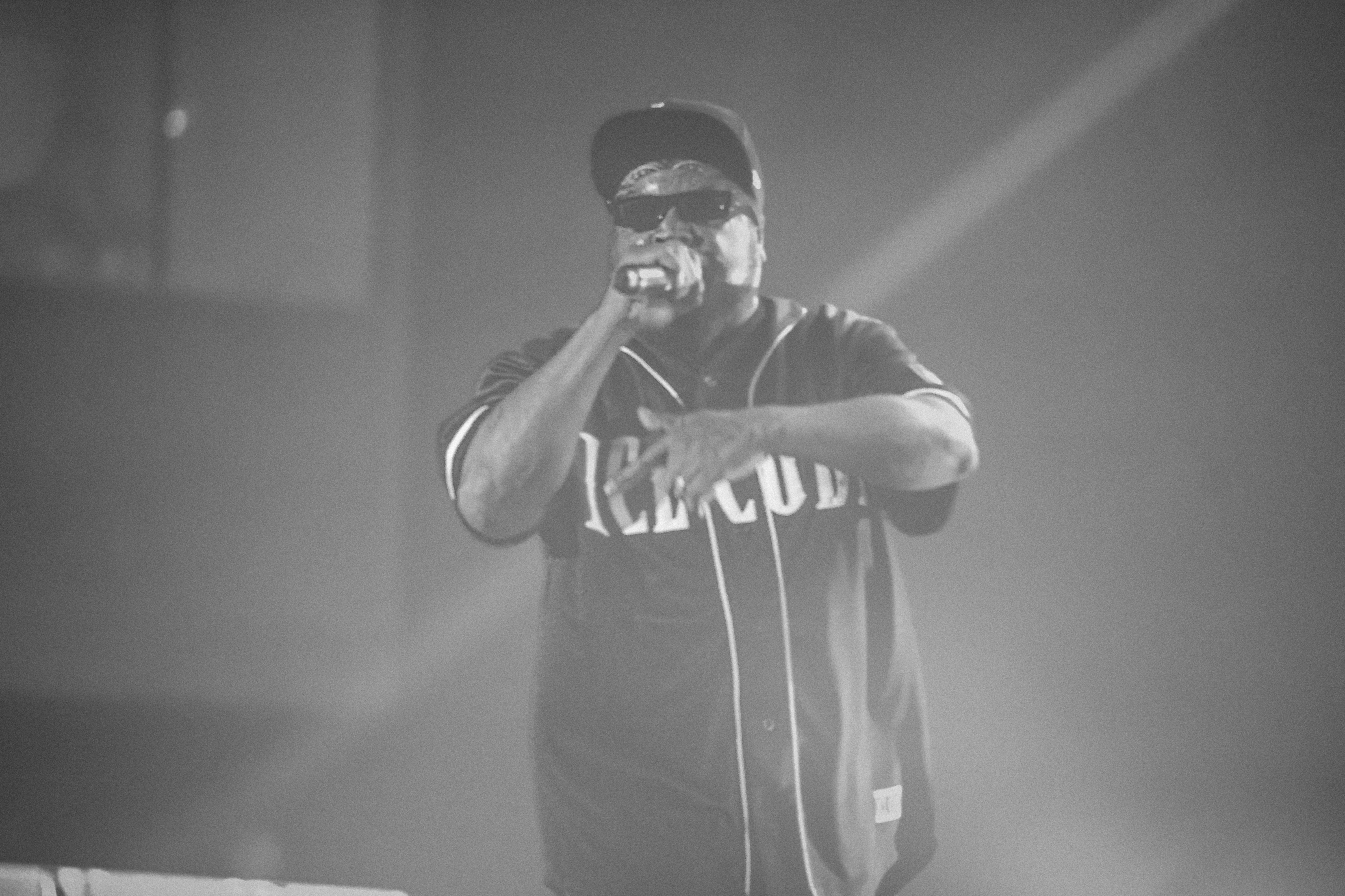 Ice Cube — California Roots Music & Arts Festival 2026 — Cali Roots 2026