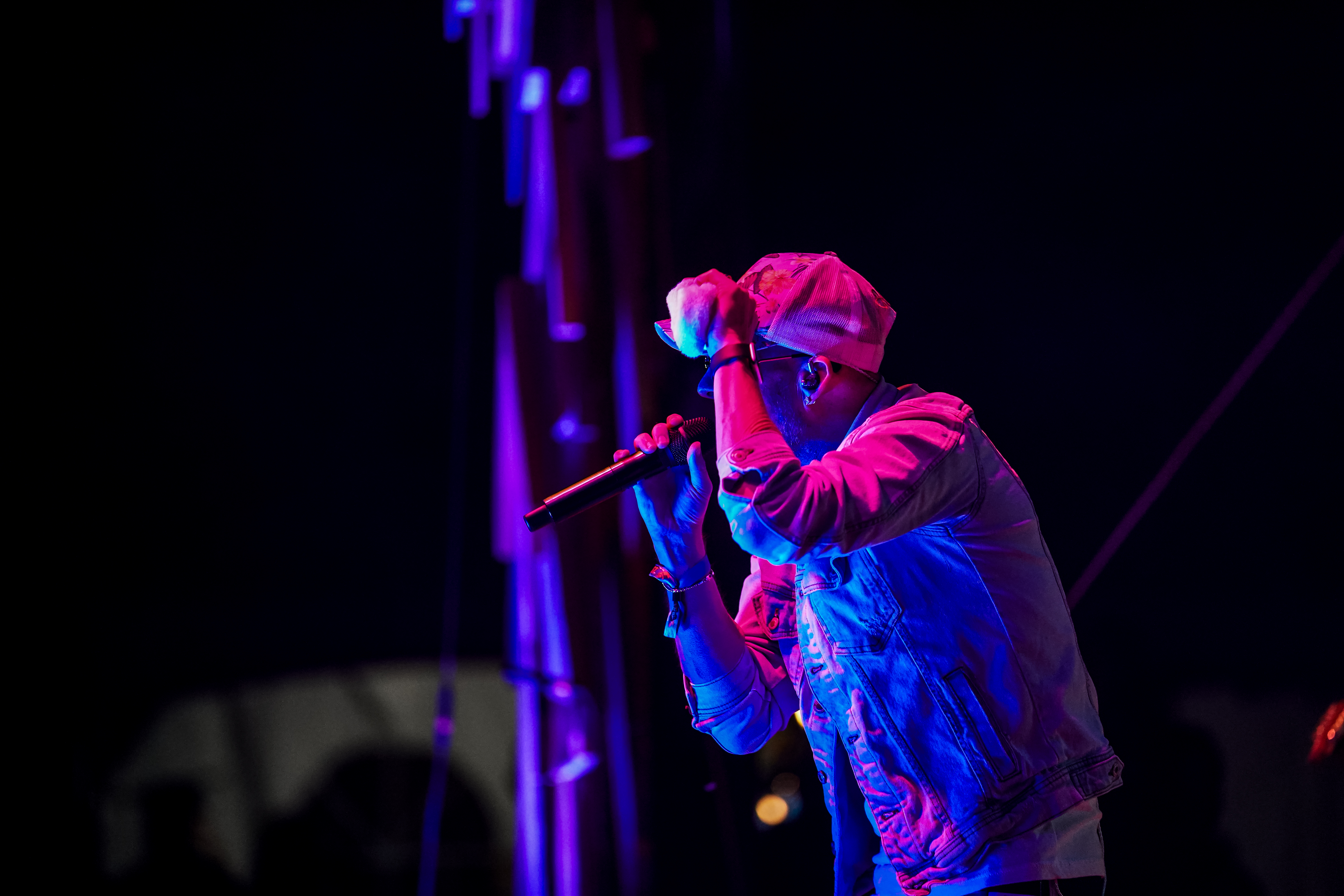 Collie Buddz