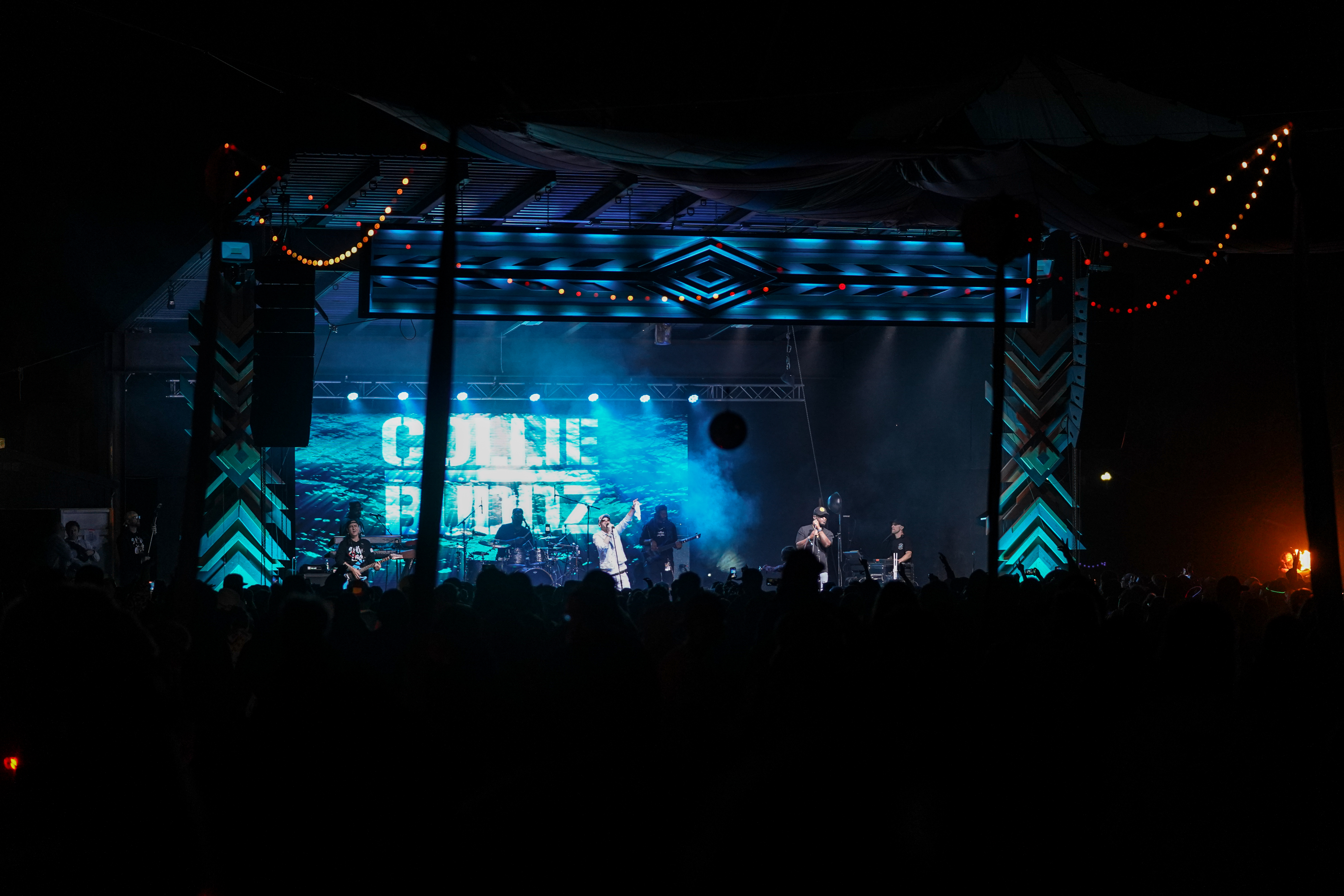 Collie Buddz
