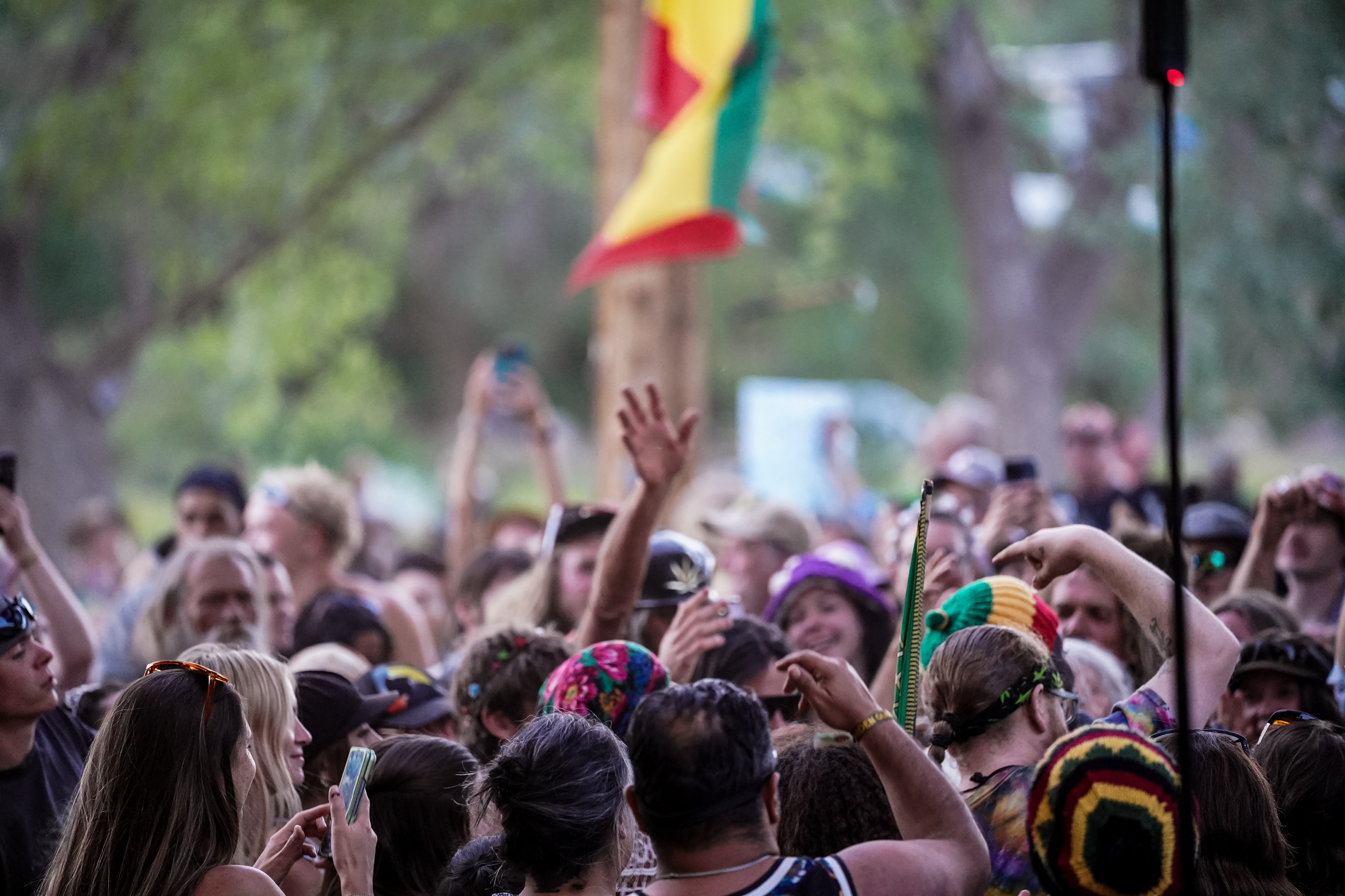 Festival — Rise & Vibes Festival 2026 — Tico Time River Resort