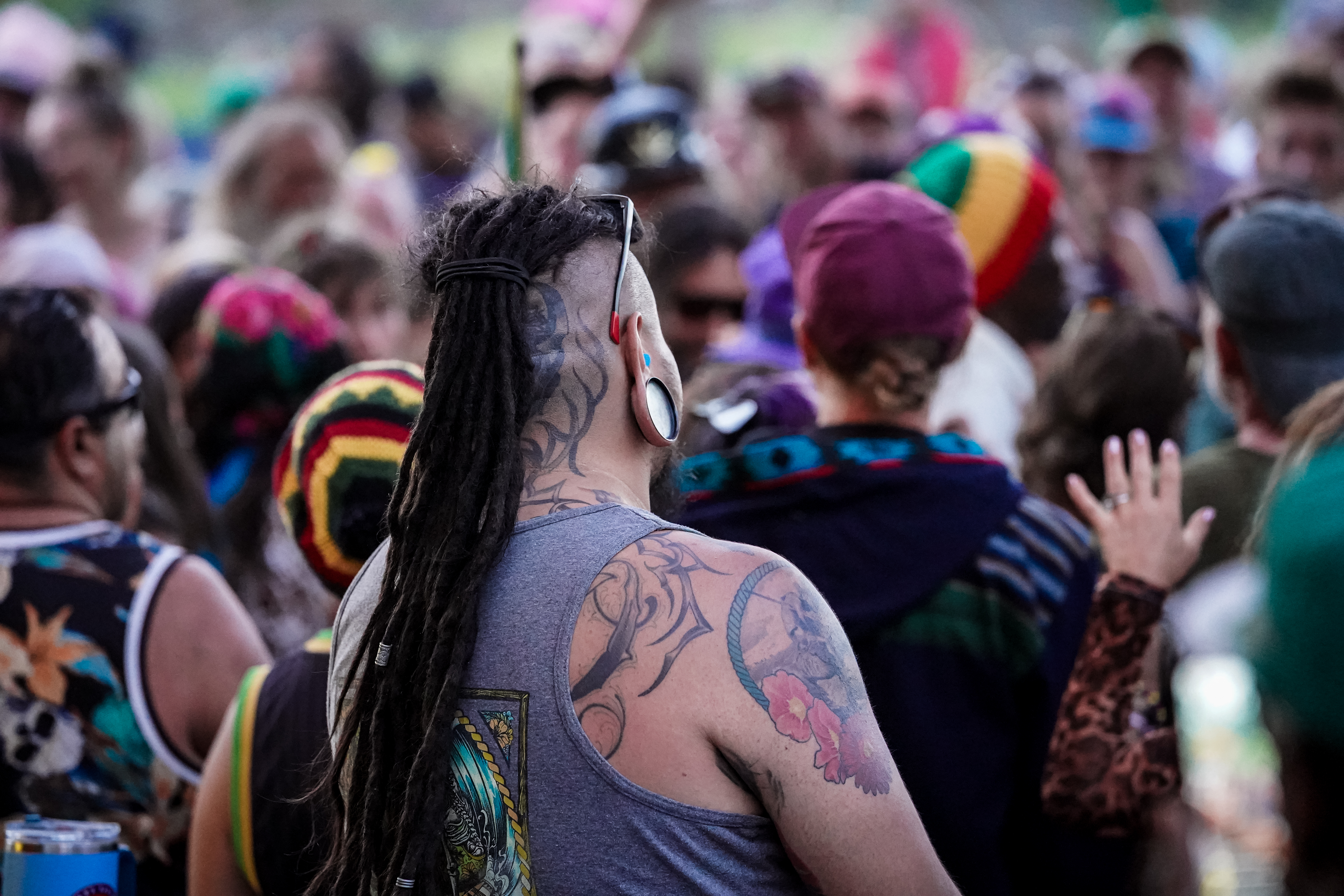 Festival — Rise & Vibes Festival 2026 — Tico Time River Resort