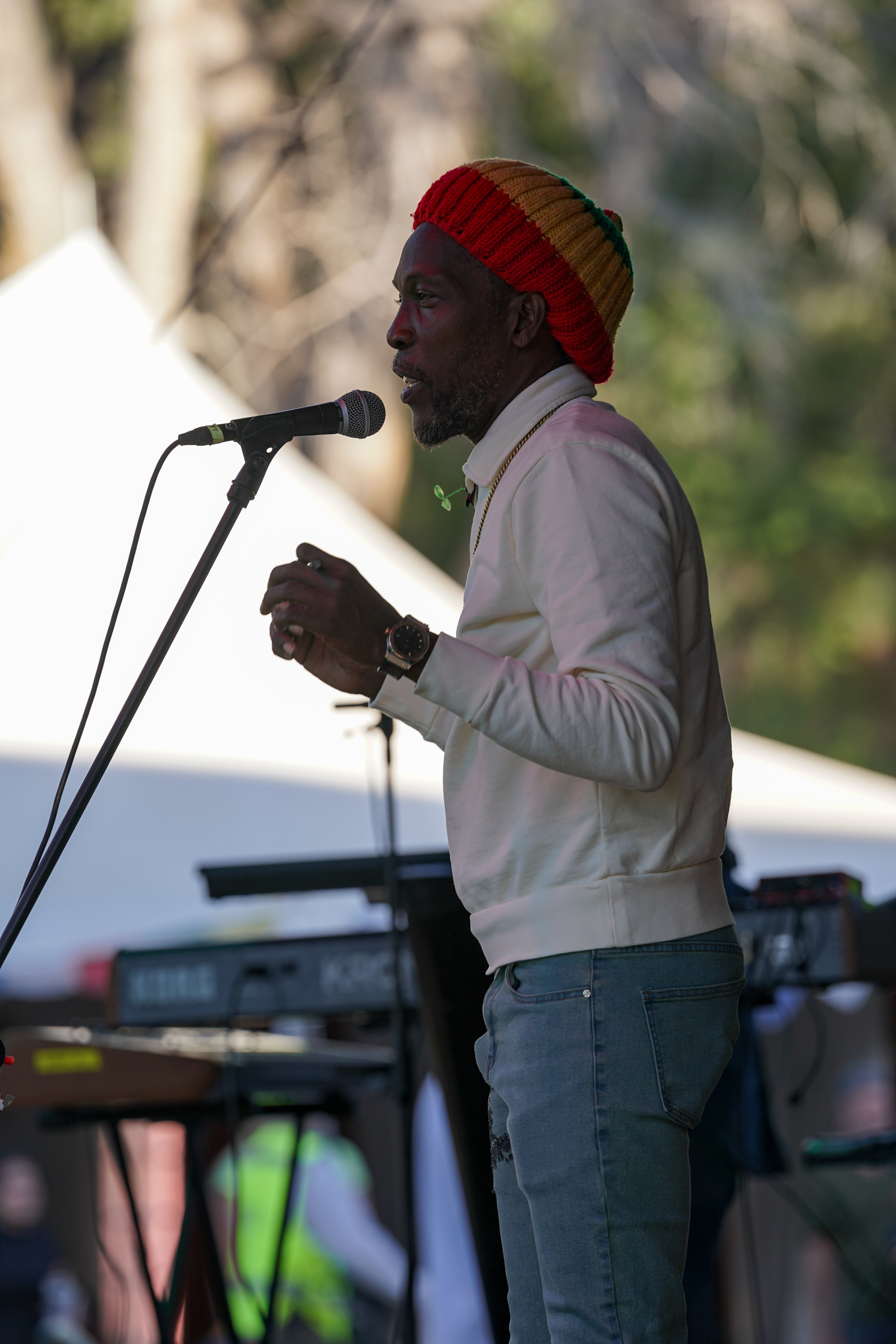 Marlon Asher — Rise & Vibes Festival 2026 — Tico Time River Resort