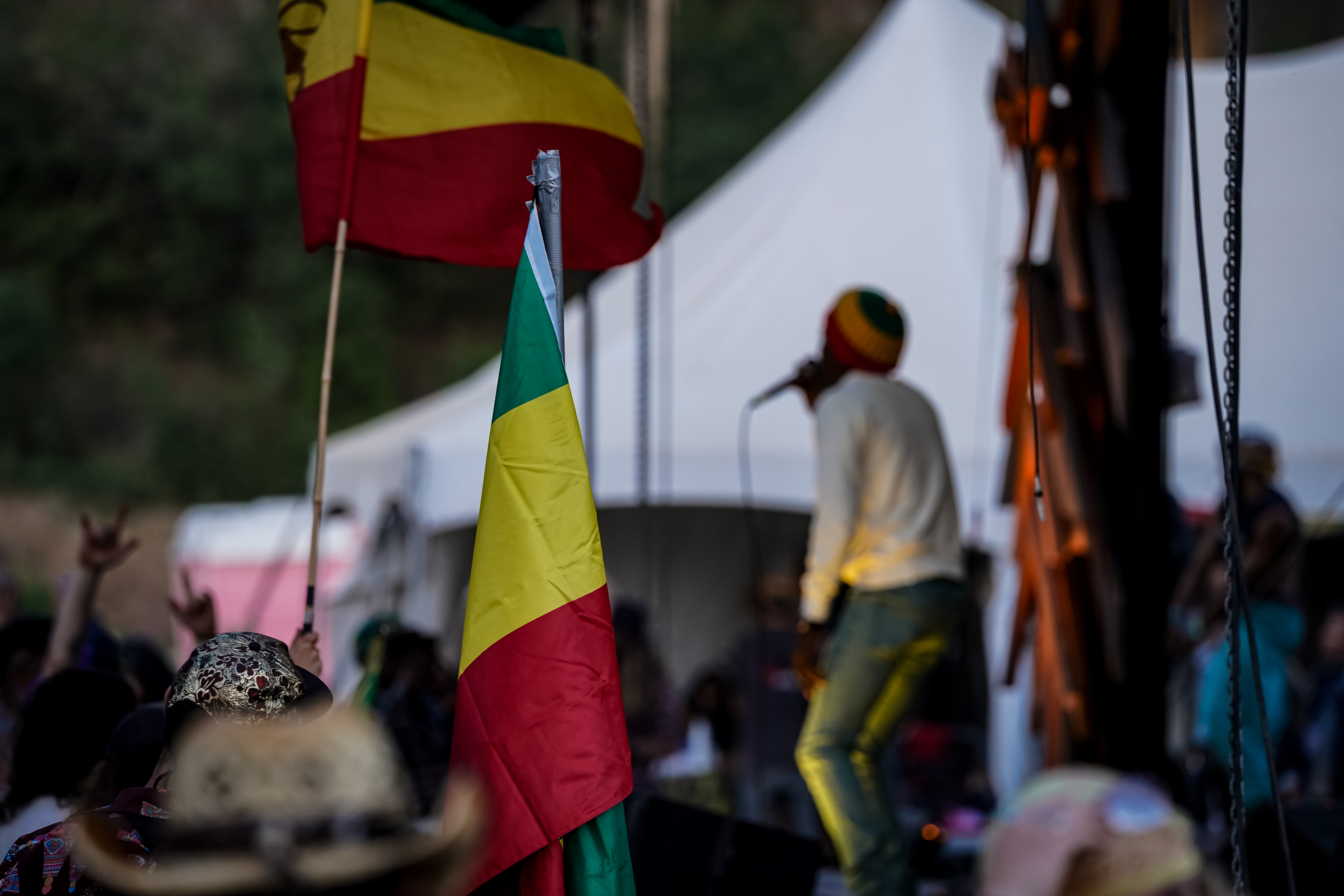 Marlon Asher — Rise & Vibes Festival 2026 — Tico Time River Resort