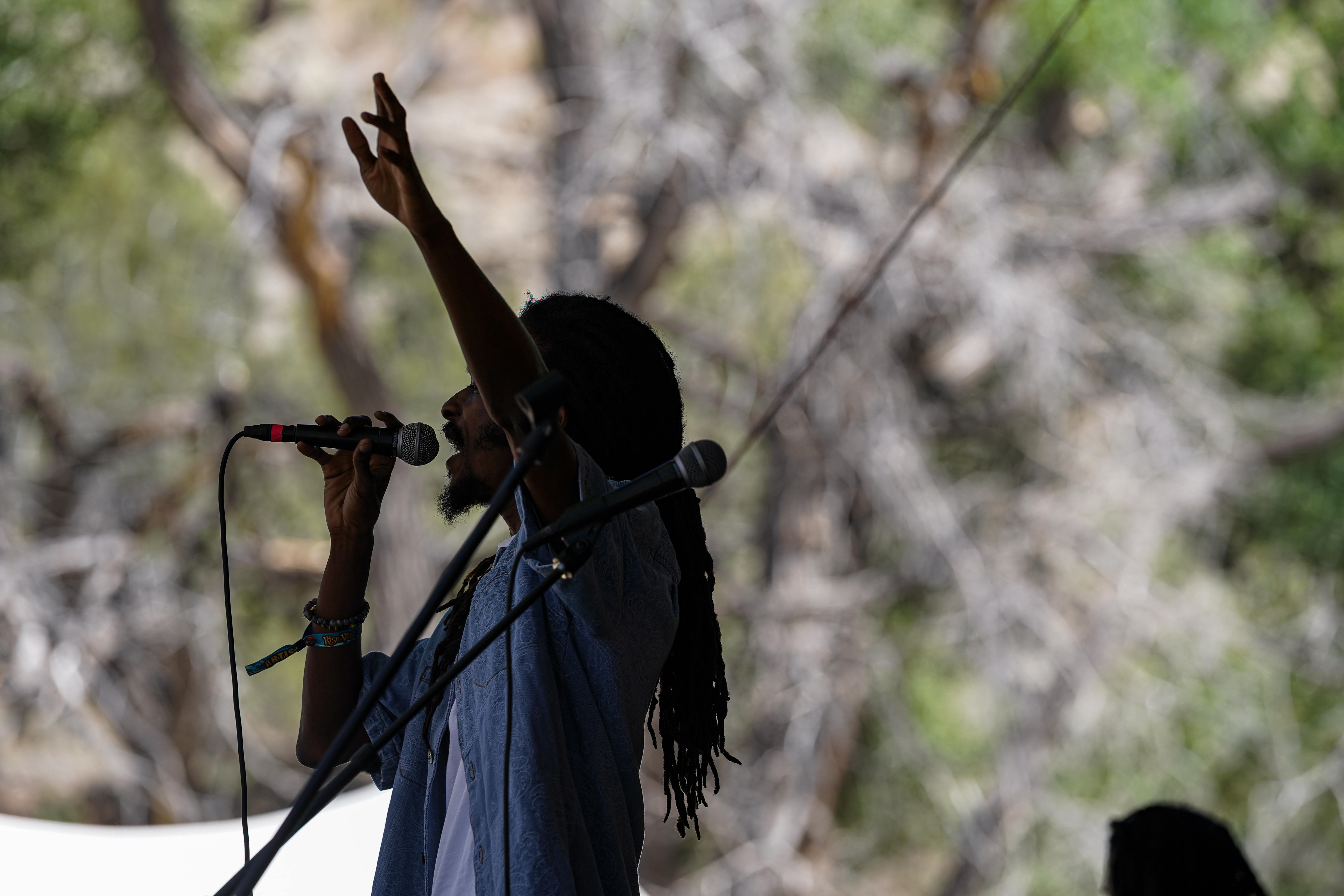 Rik Jam — Rise & Vibes Festival 2026 — Tico Time River Resort