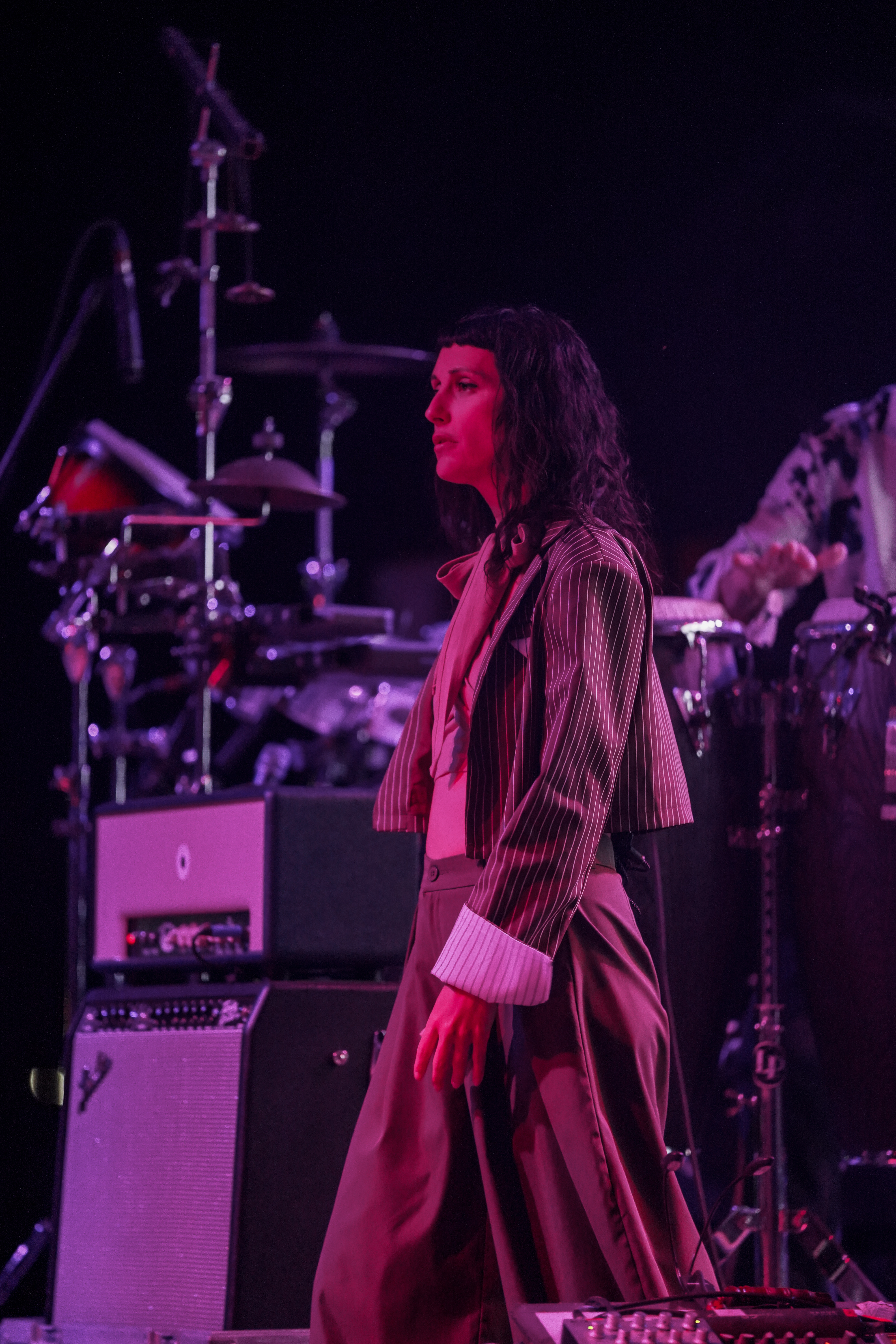 Thievery Corporation — Rise & Vibes Festival 2026 — Tico Time River Resort