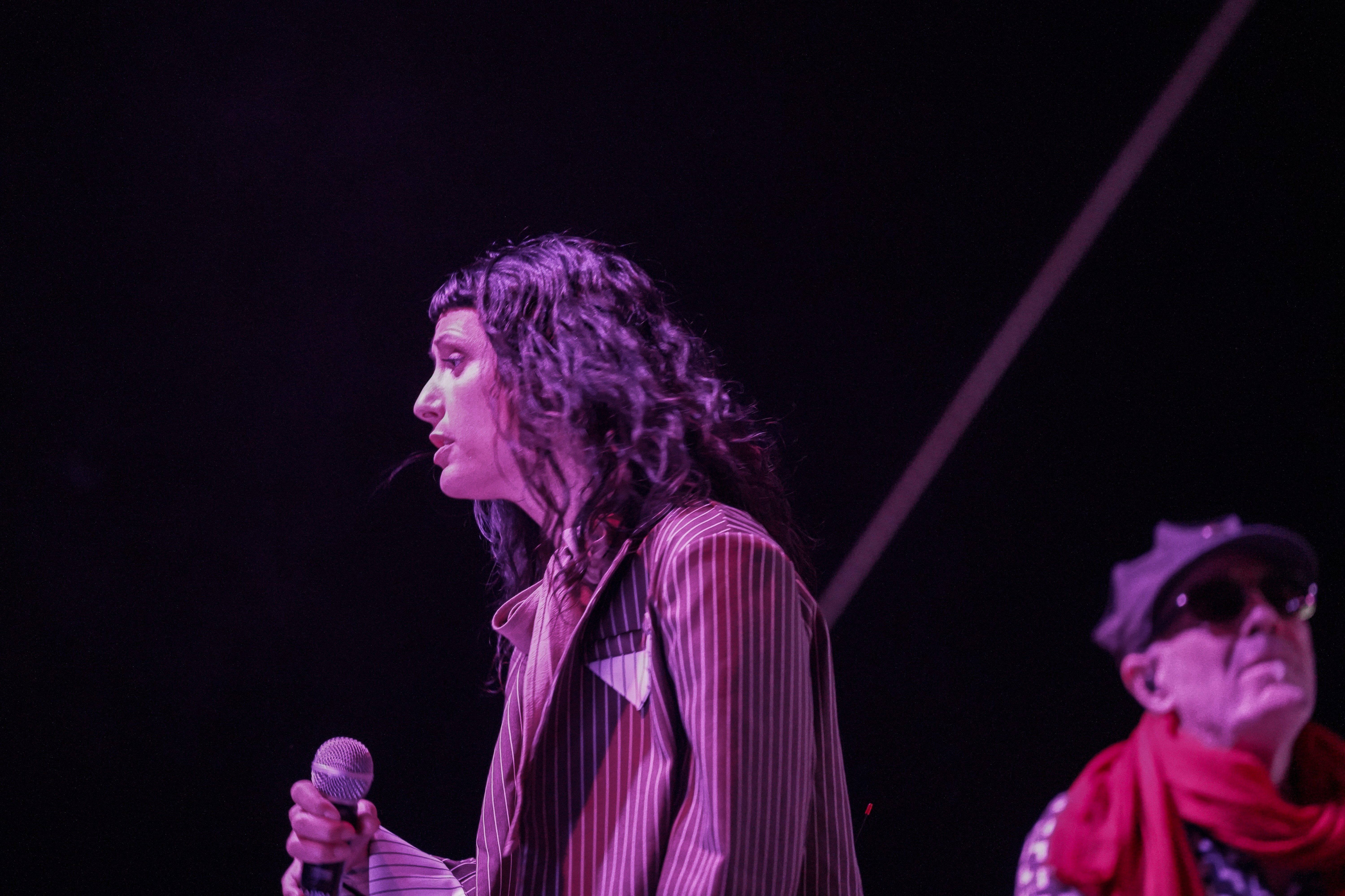 Thievery Corporation
