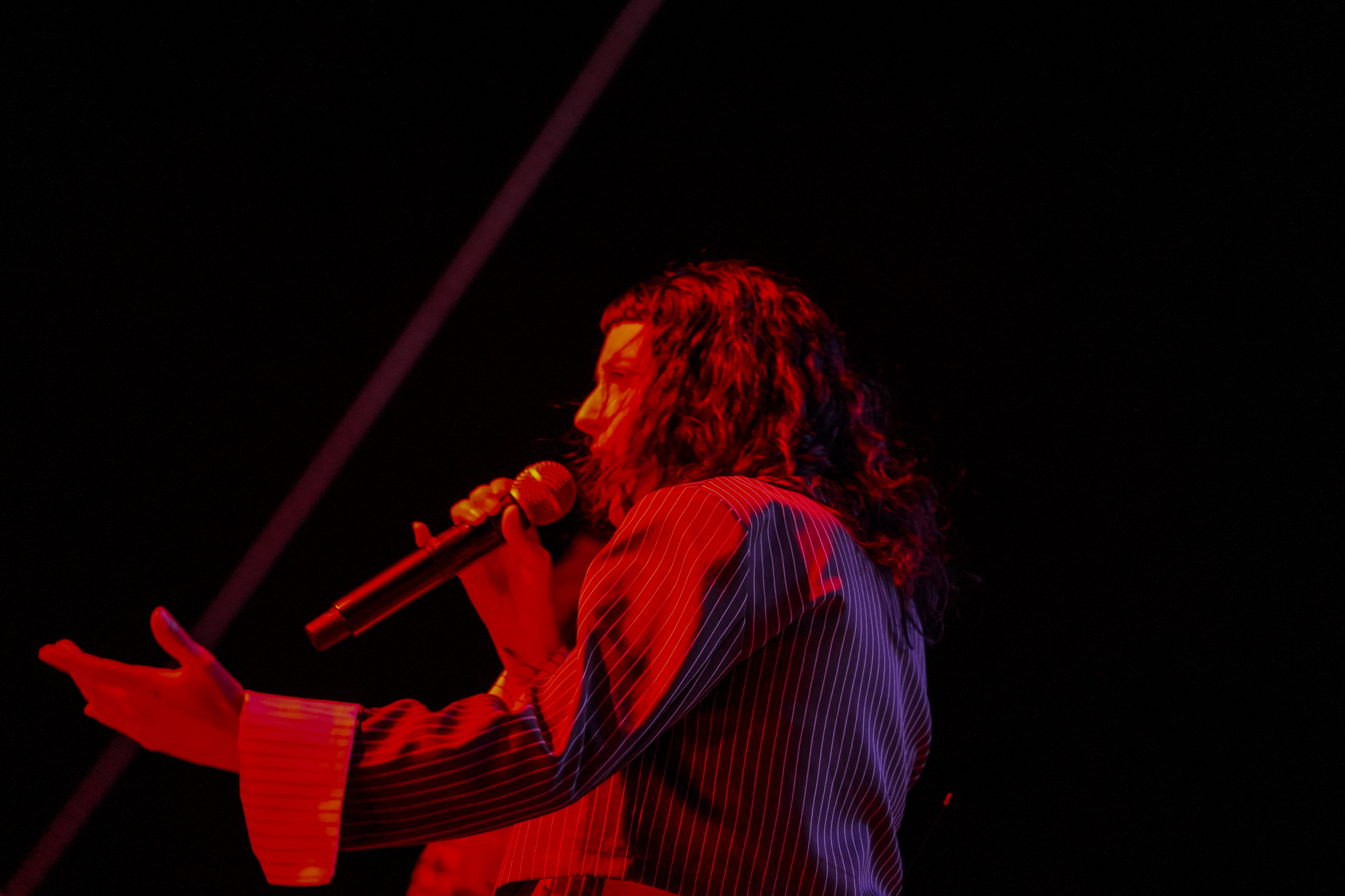 Thievery Corporation