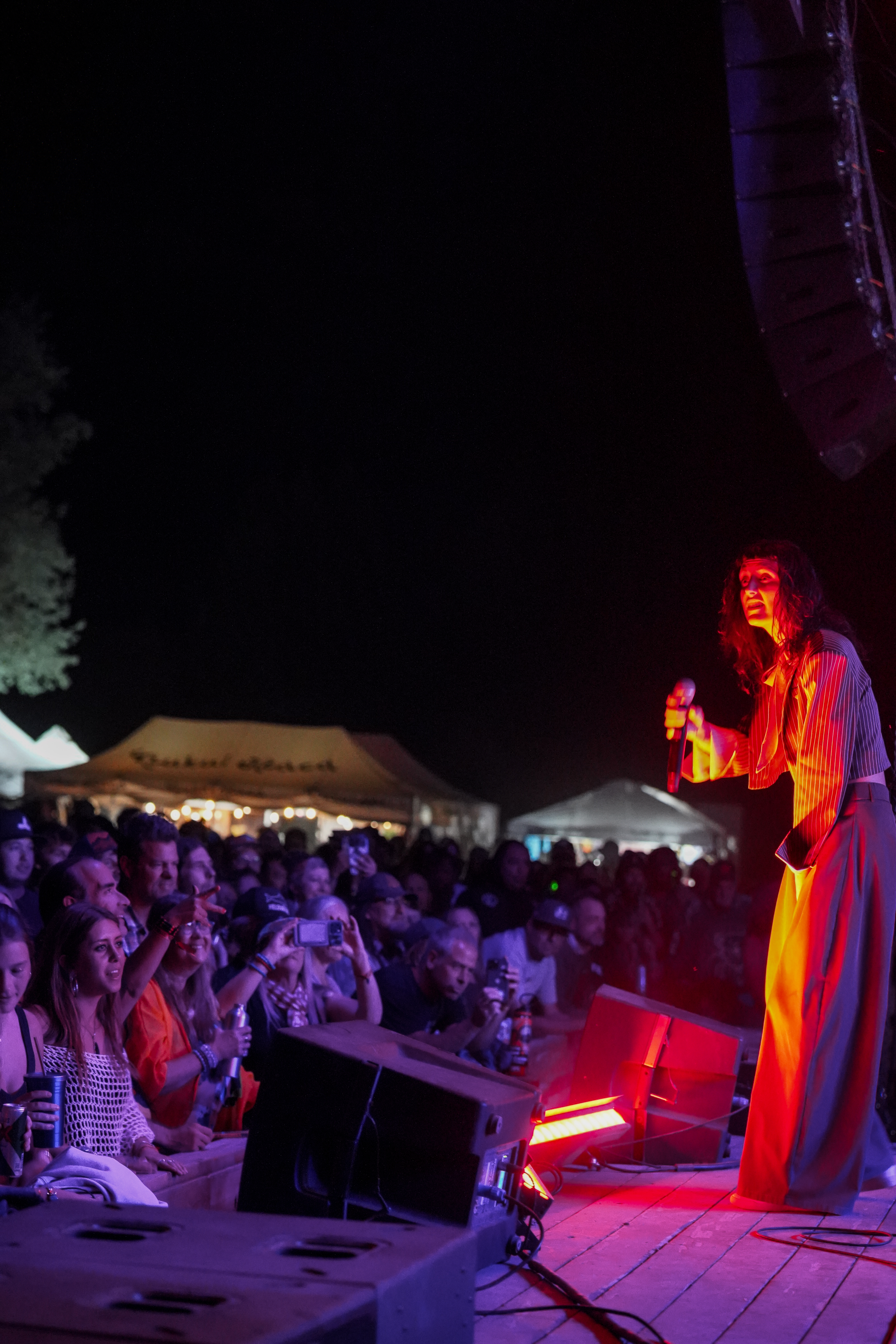 Thievery Corporation — Rise & Vibes Festival 2026 — Tico Time River Resort