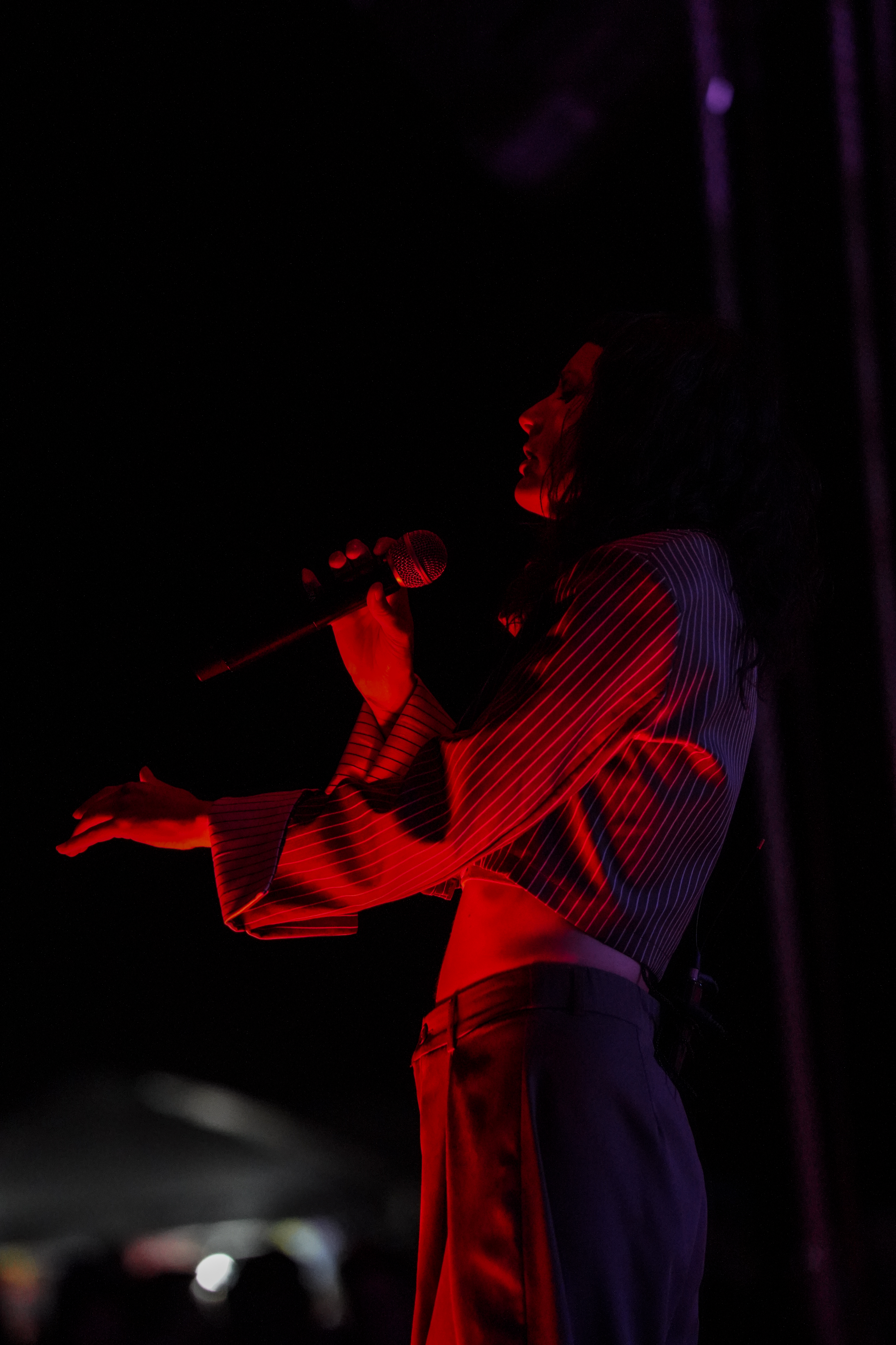 Thievery Corporation — Rise & Vibes Festival 2026 — Tico Time River Resort