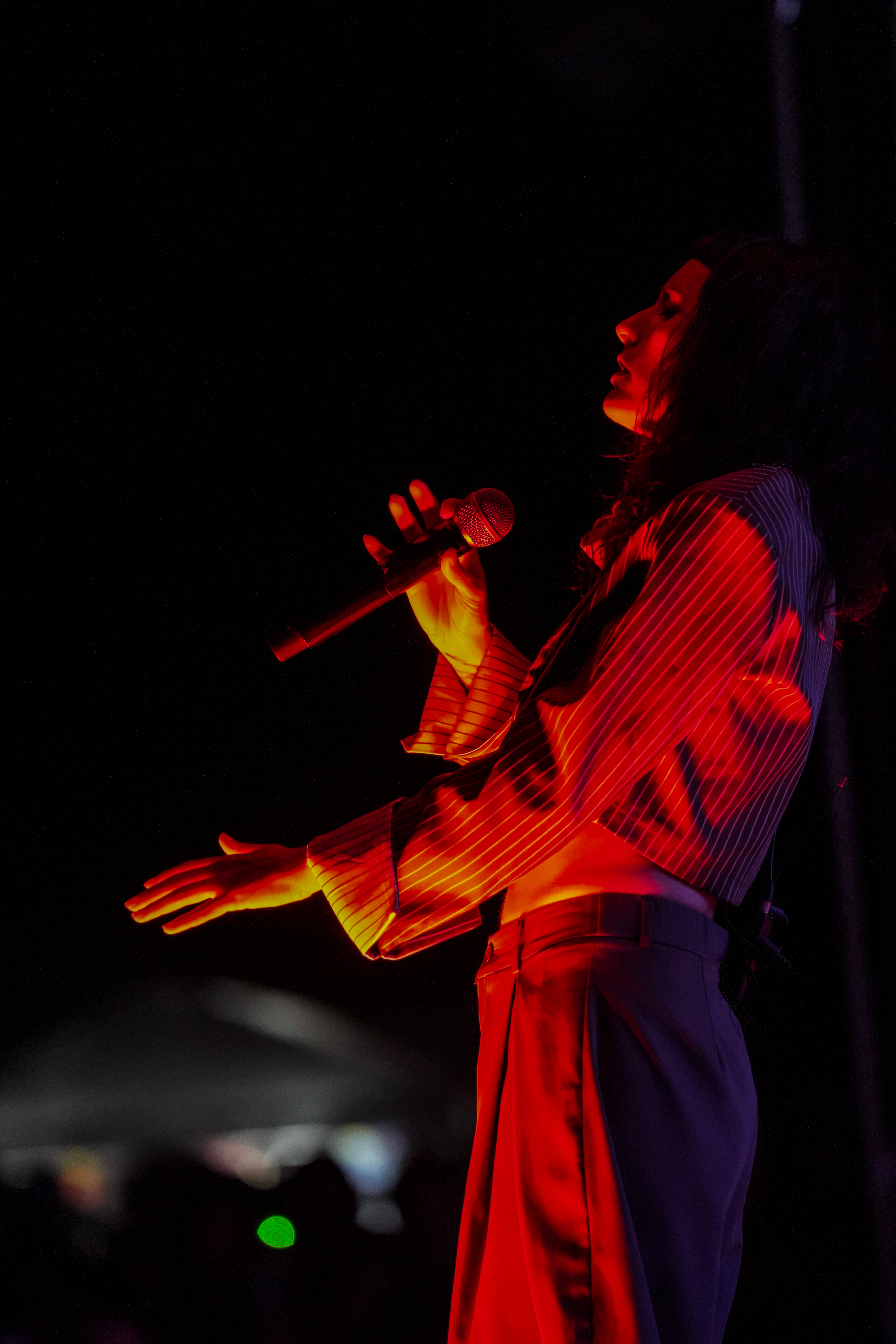 Thievery Corporation — Rise & Vibes Festival 2026 — Tico Time River Resort